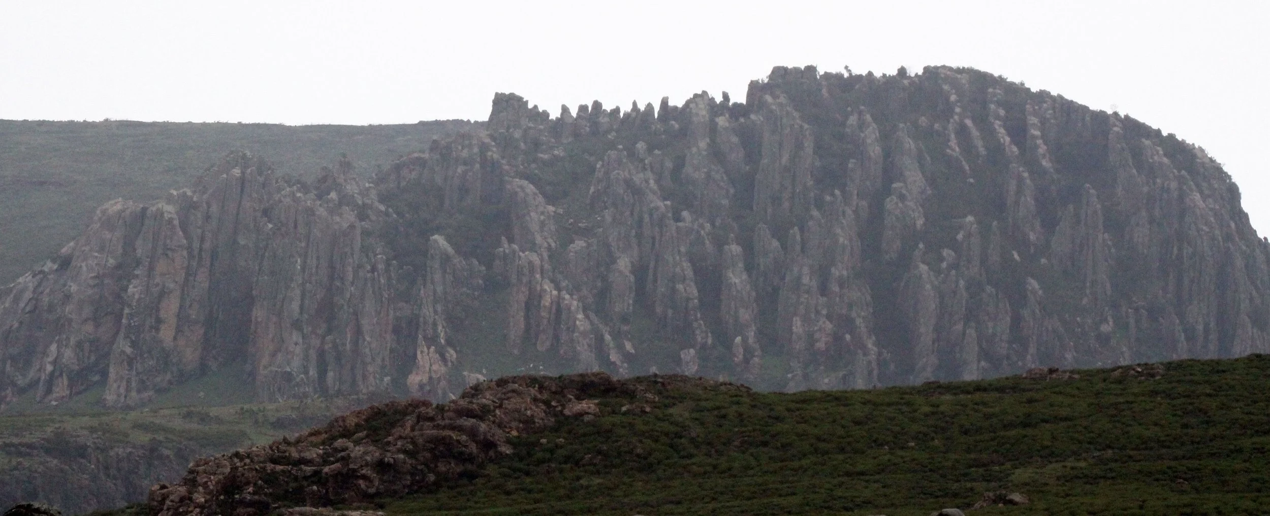 BALE MOUNTAINS NATIONAL PARK ETHIOPIA (61).JPG