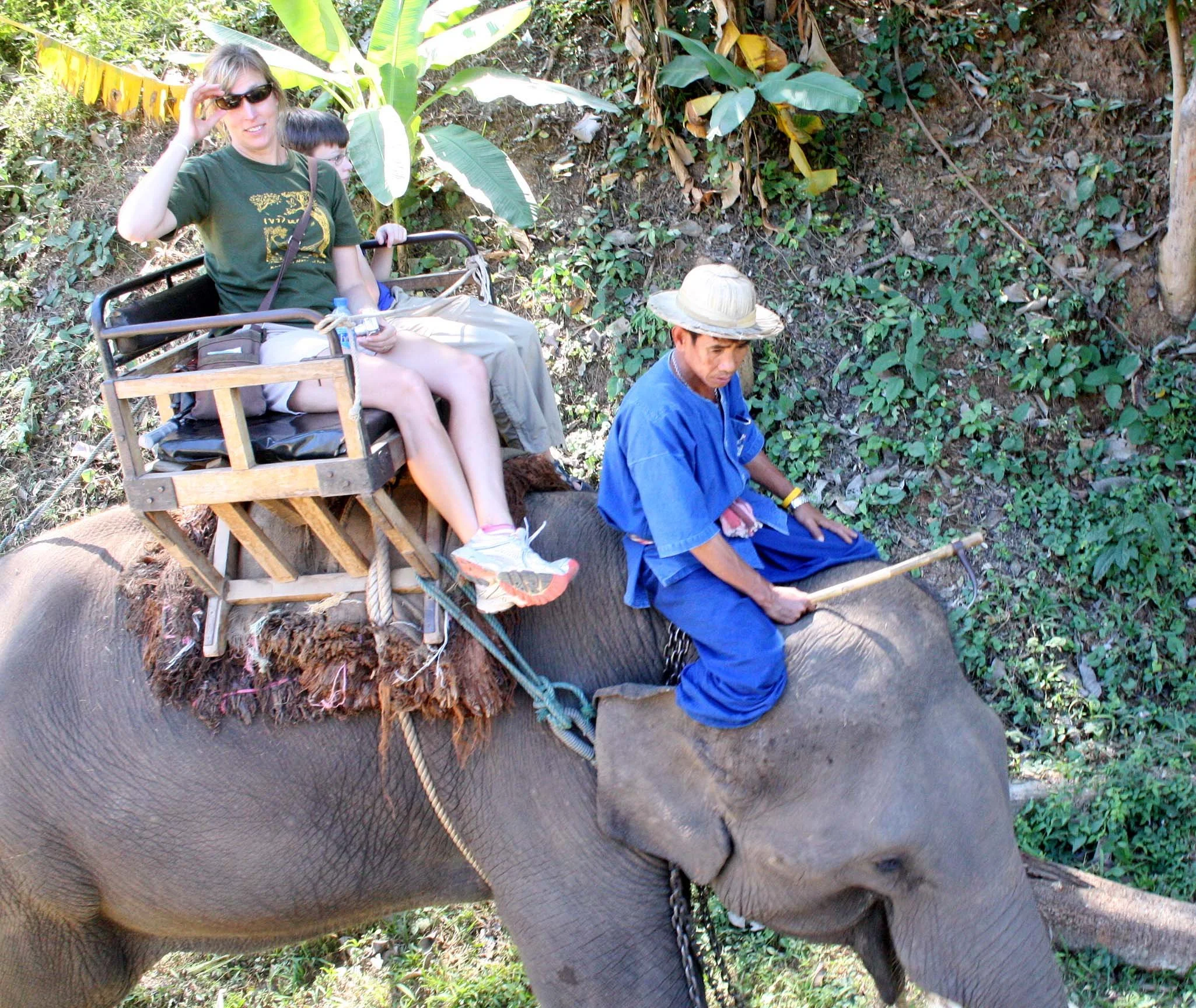 2008 Lampang City & Elephant Center (39).JPG