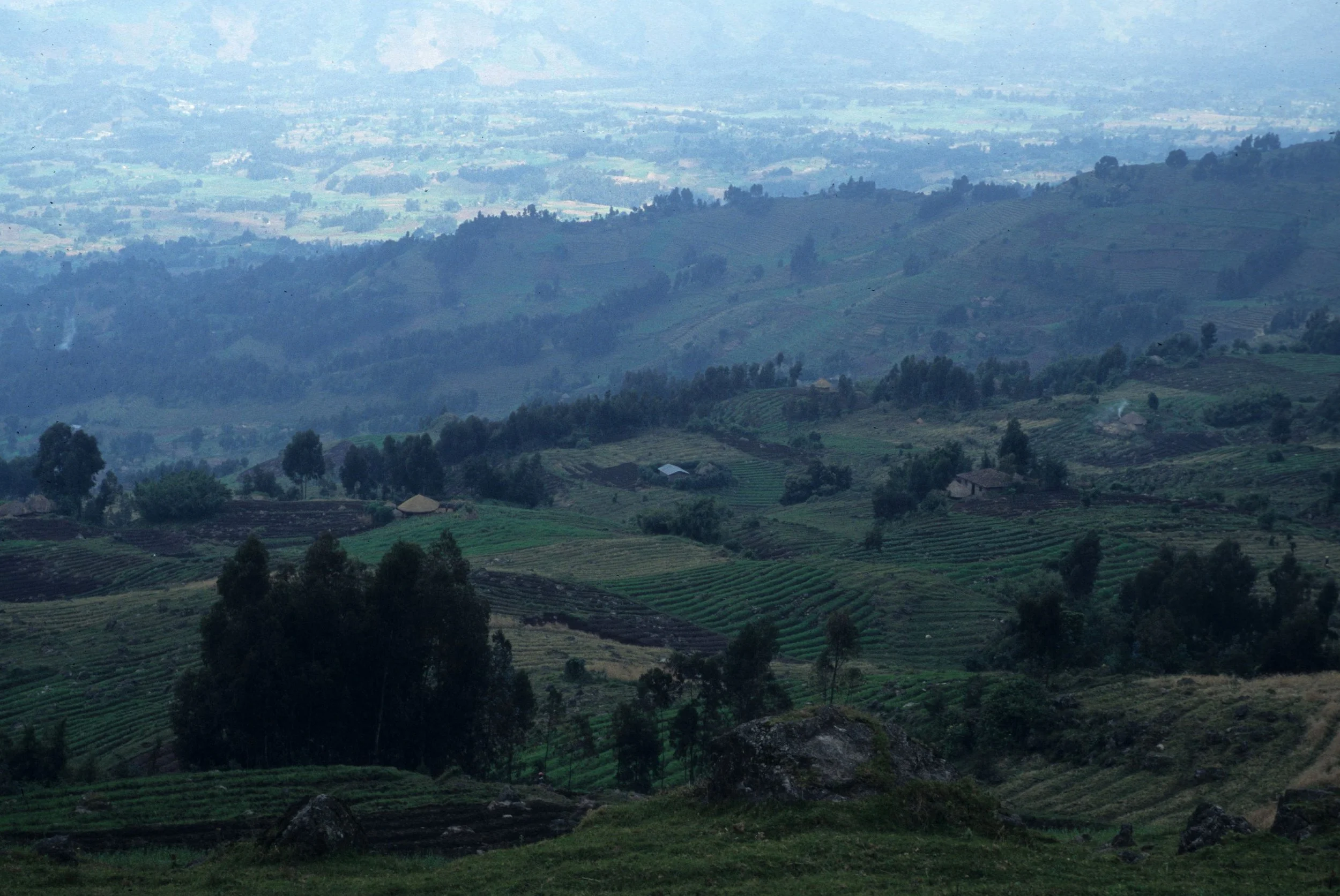 RWANDA - COUNTRYSIDE 4.jpg