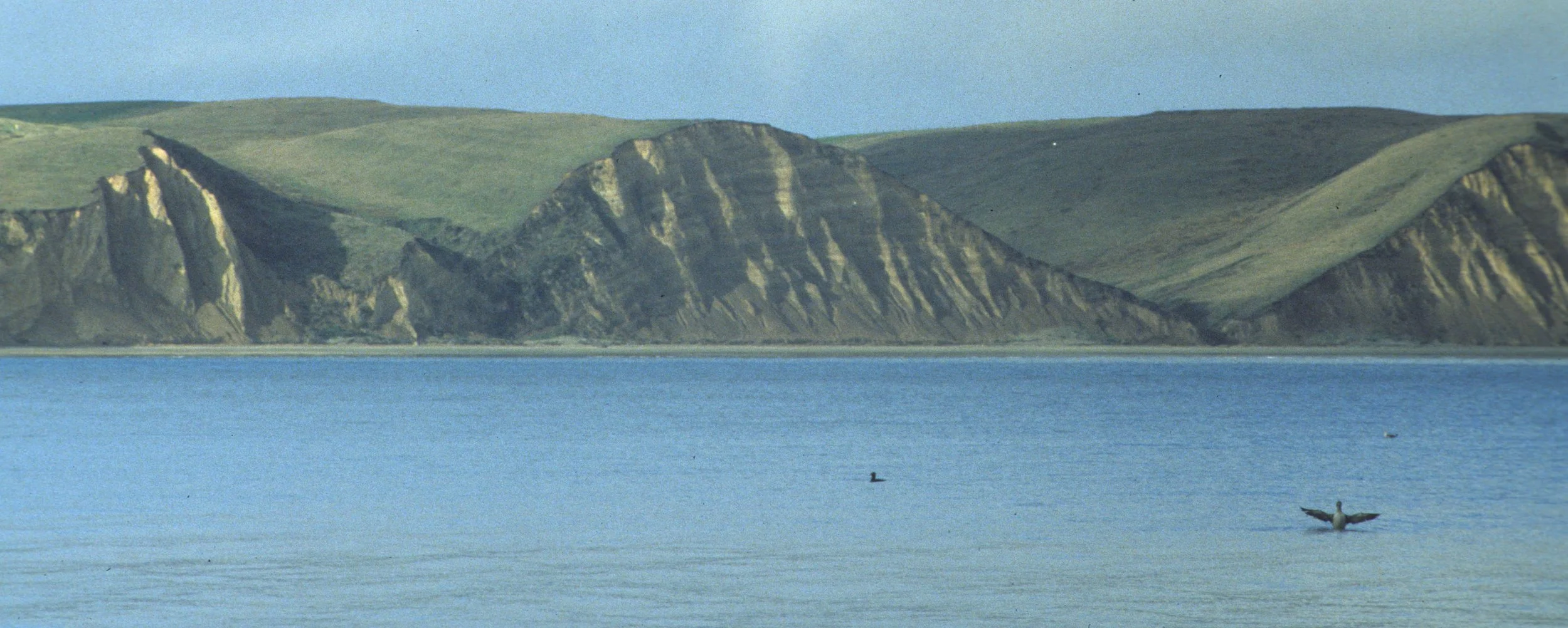 CALIFORNIA - POINT REYES - DRAKES BAY ALLUVIUM AND SEDIMENTATION.jpg