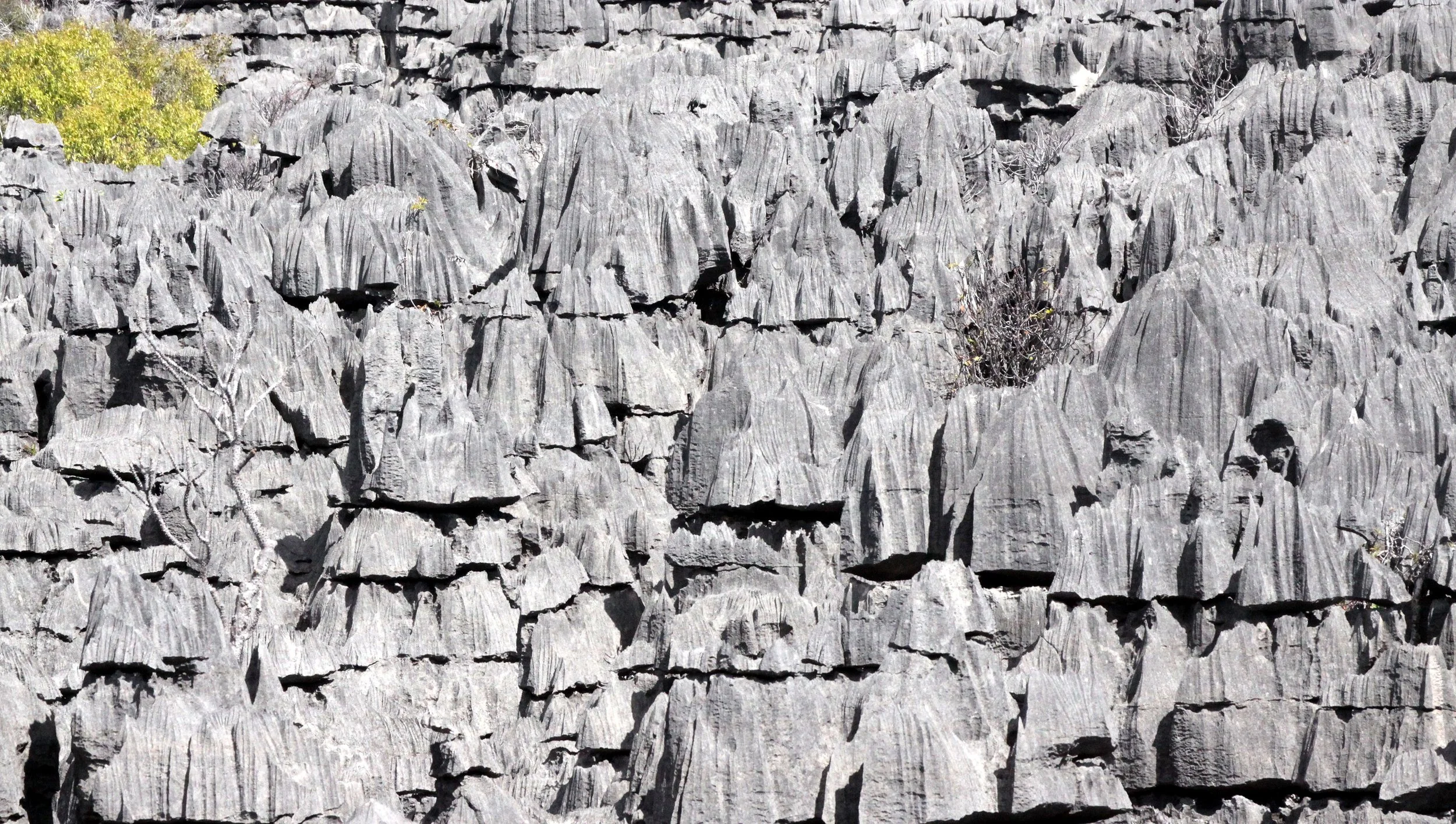 ANKARANA NATIONAL PARK MADAGASCAR - TSINGY FOREST (45).JPG