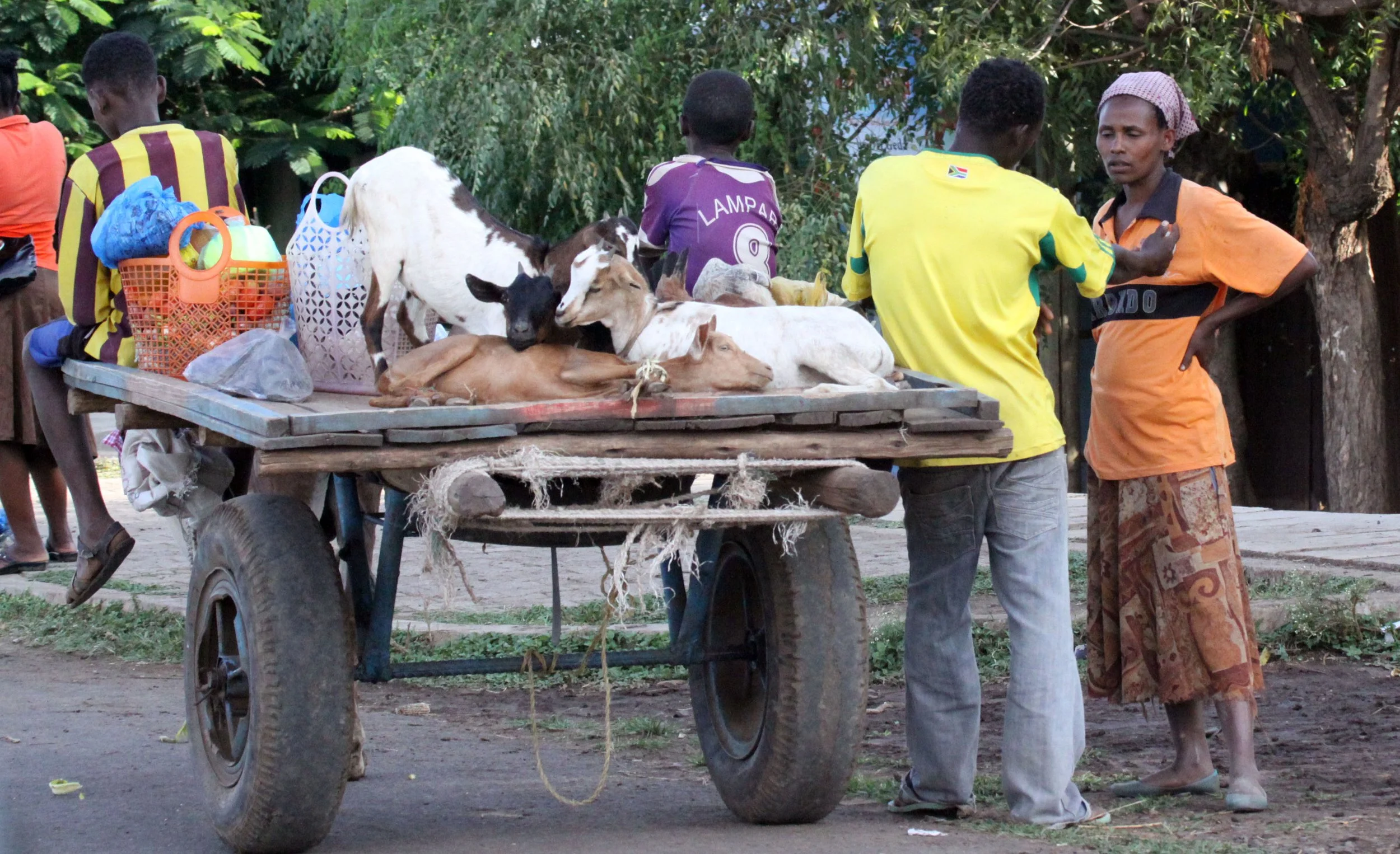 ARBAMINCH ETHIOPIA 2012 (99).JPG