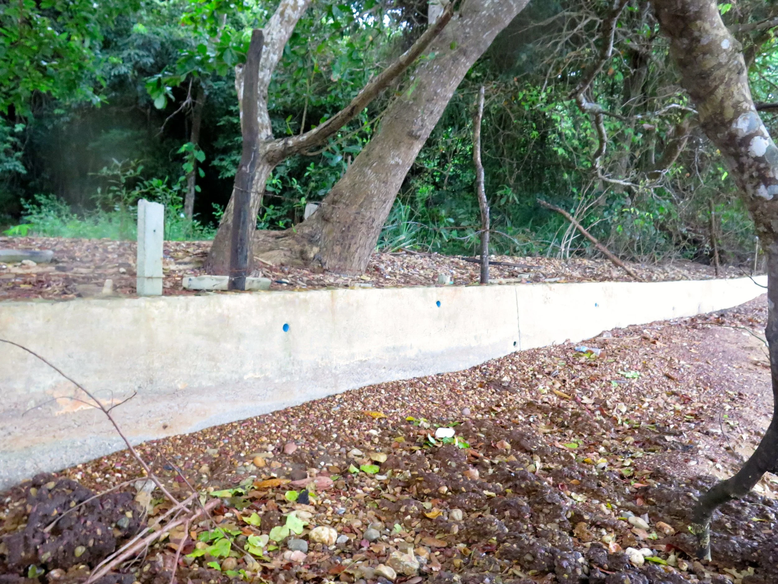 LANTA PROJECT - NOVEMBER 2014 UPDATE (81).JPG