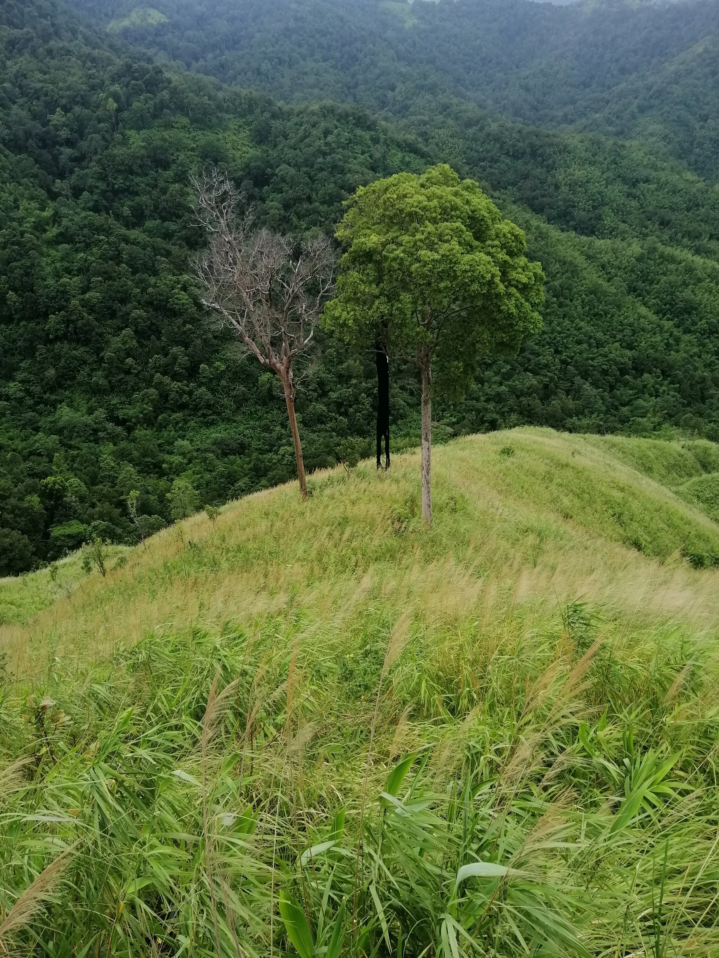 2021 Chong Yen and Surrounding Countryside (43).jpg