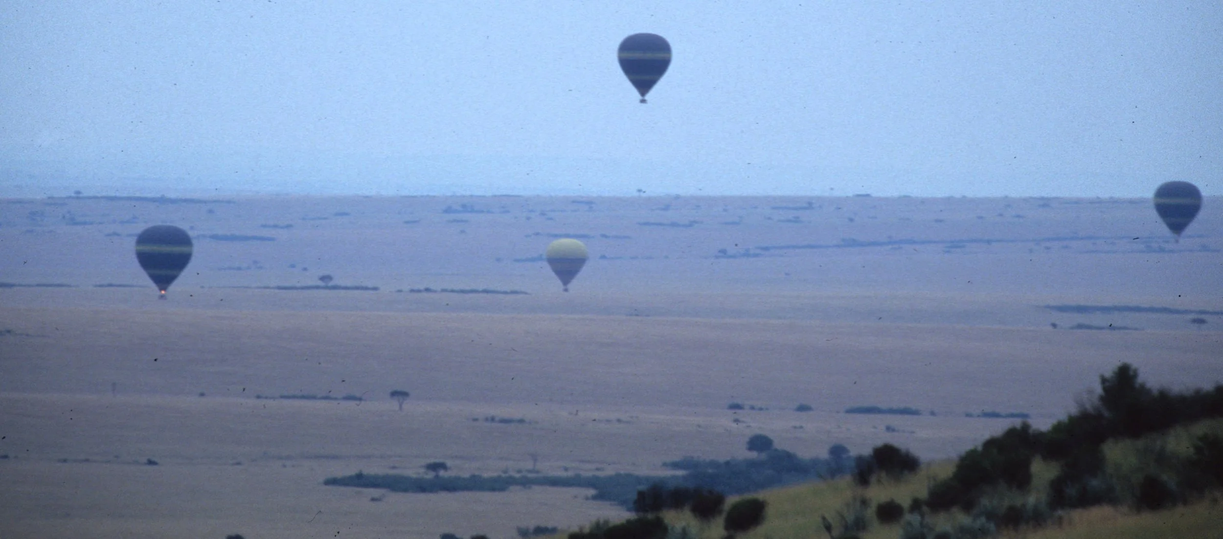 SERENGETI - BALOONS.jpg