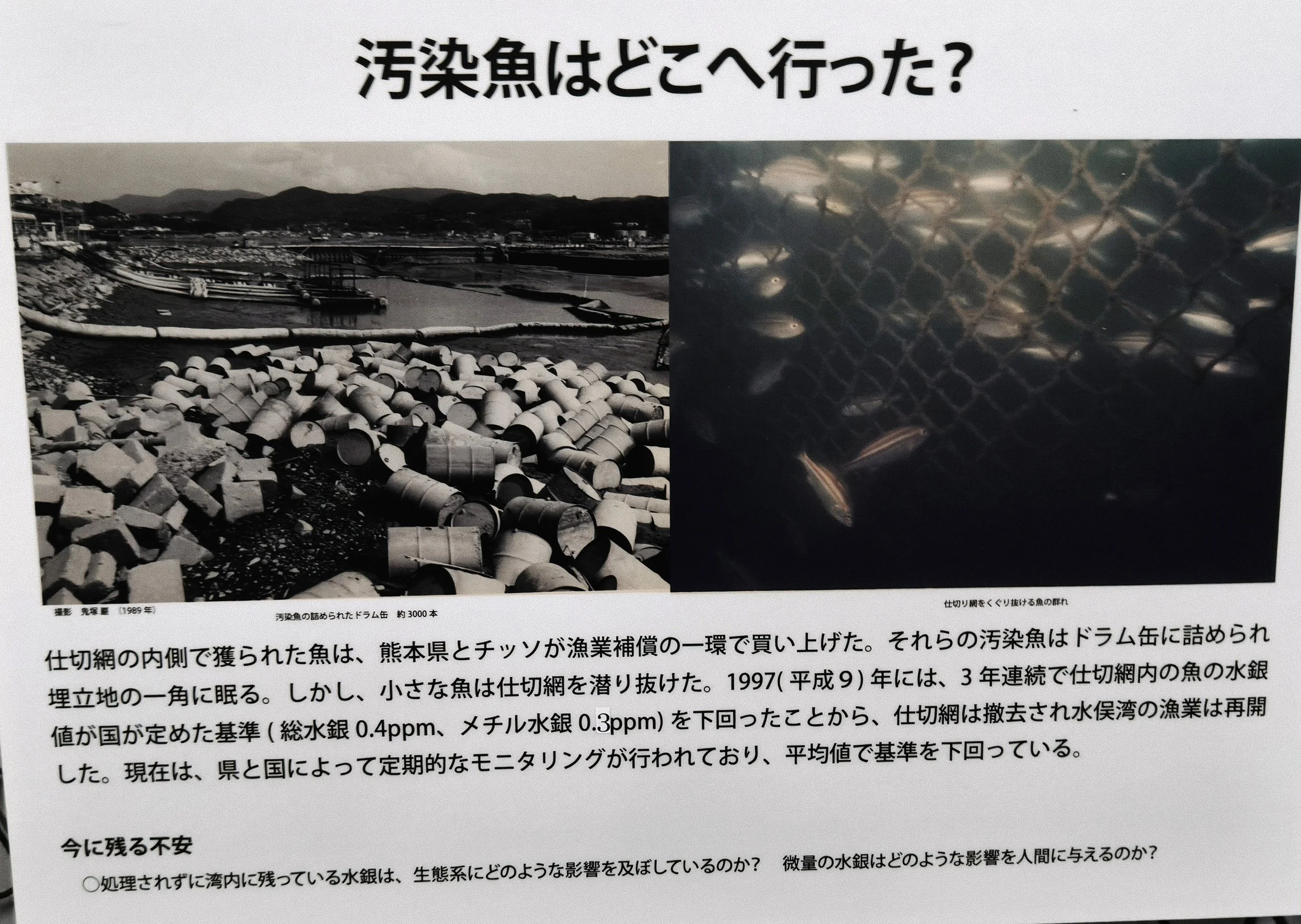 Minamata Disease Museum Kagoshima Japan (22).jpg