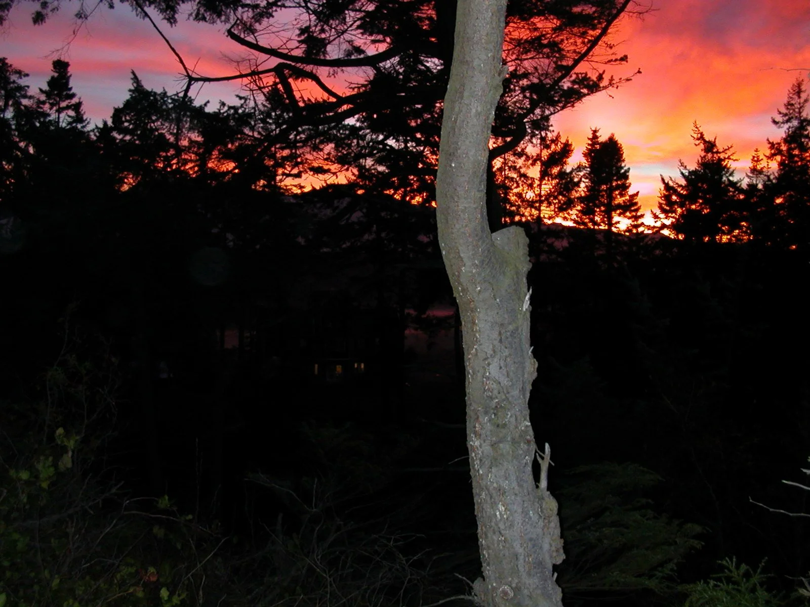 2003-11-28 THANKSGIVING IN LAKE FARM (45).JPG