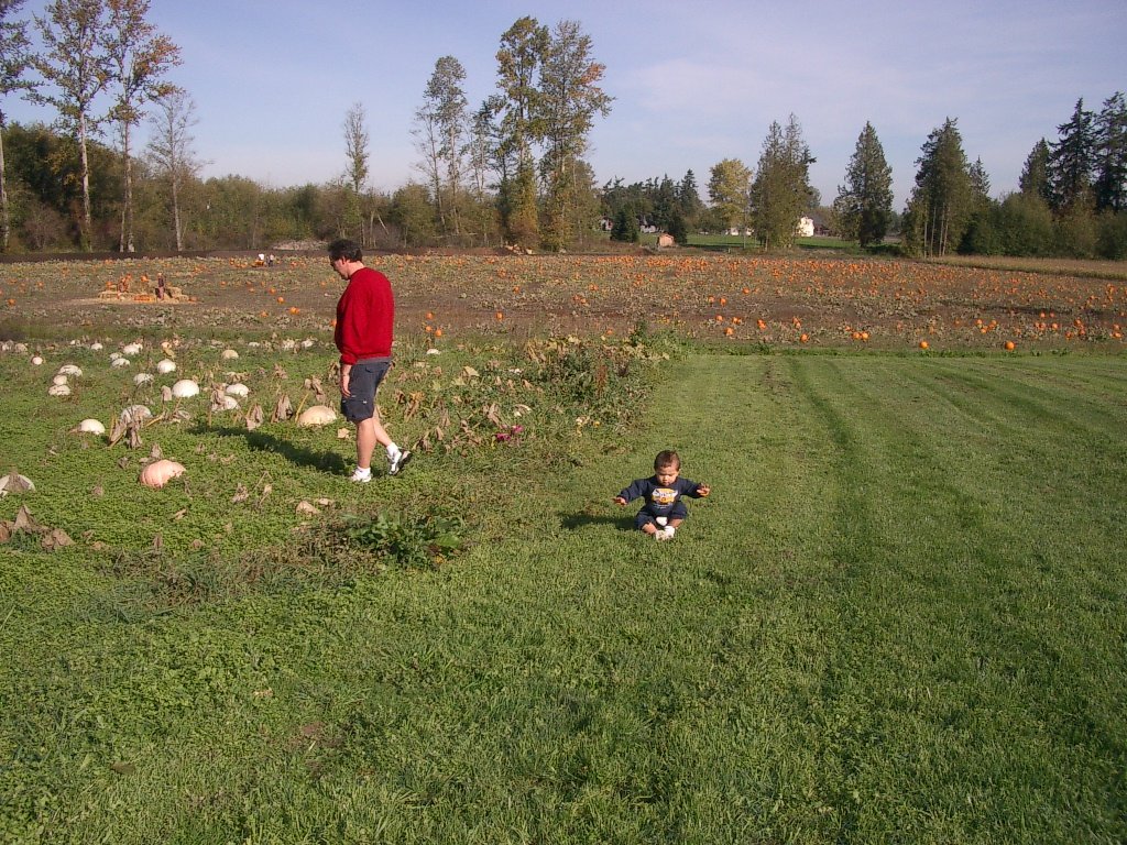 2003-10-26 PUMPKIN PATCH PORT ANGELES (5).JPG