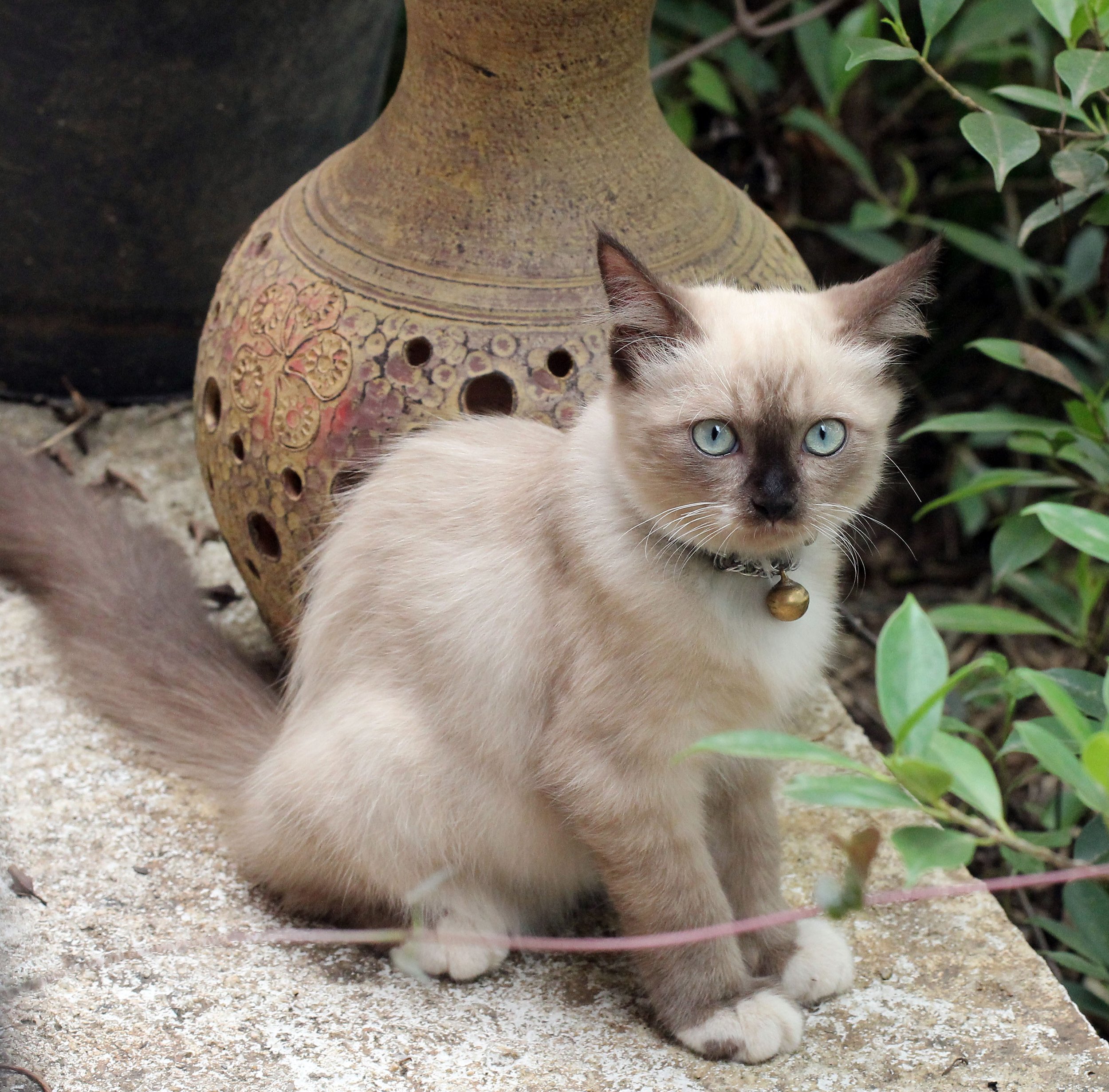 2015 Koh Lanta October Break Trip  (158).JPG