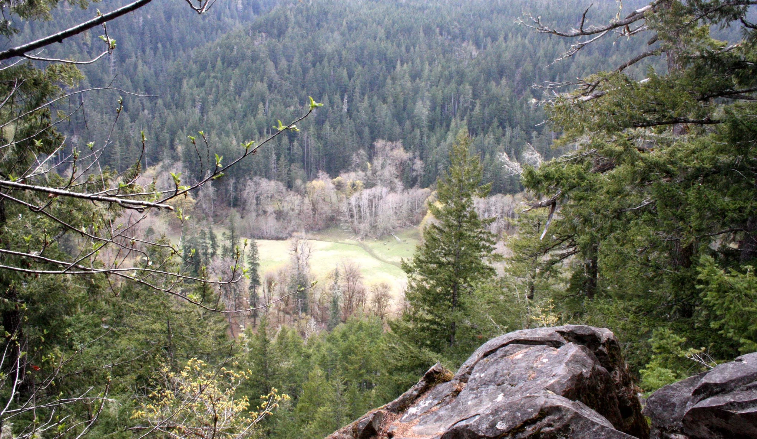 ELWHA RIVER VALLEY - LOOKING TOWARD KROUSE'S BOTTOM (3).JPG