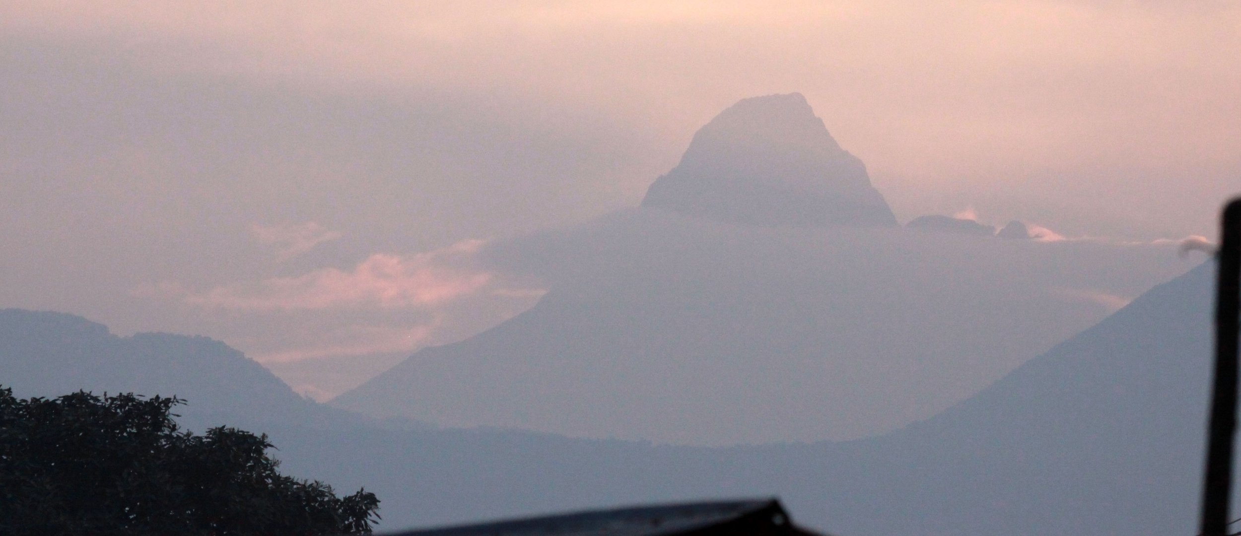 PARC DU VULCANS RWANDA (399).JPG