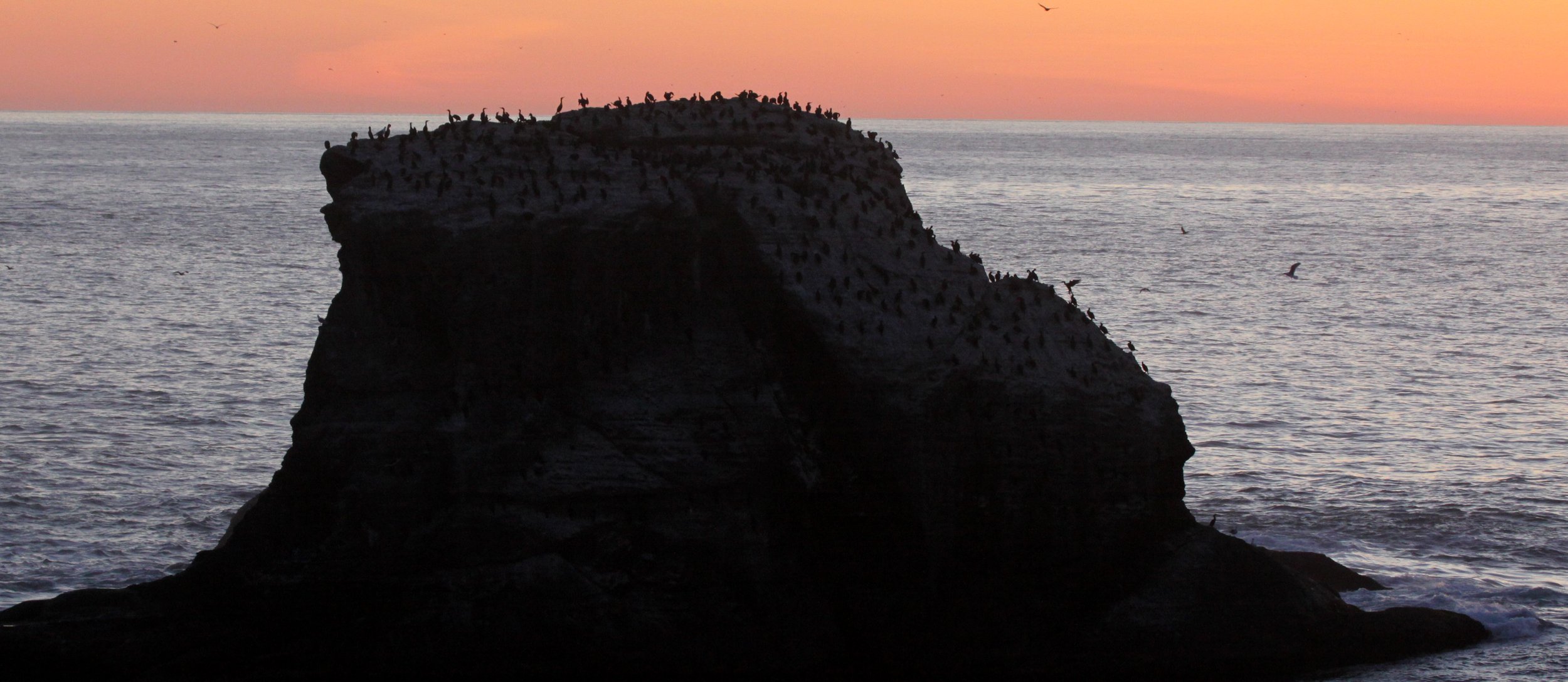 CAPE FLATTERY - SUNSET IN FEBRUARY 2010 (35).JPG