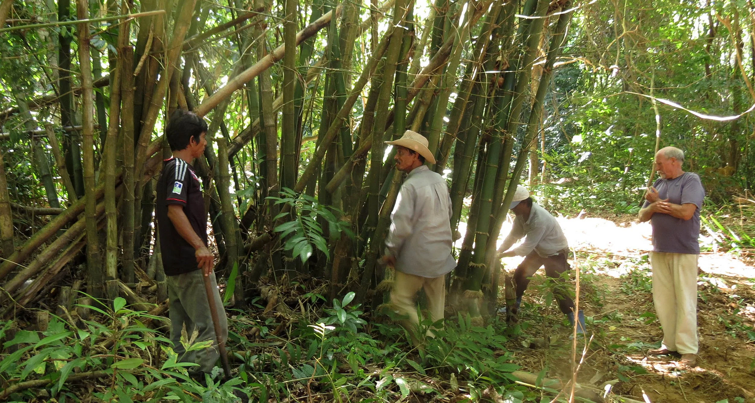 2014 Koh Lanta Build (7).JPG