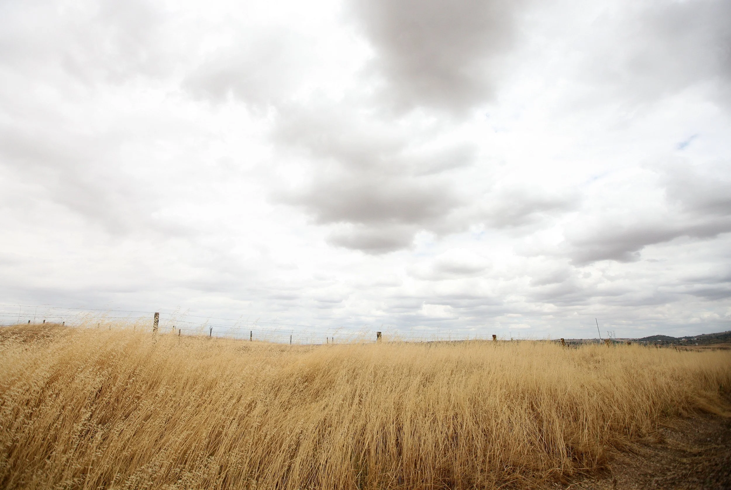Maltartida Grasslands is Monfrague National Park