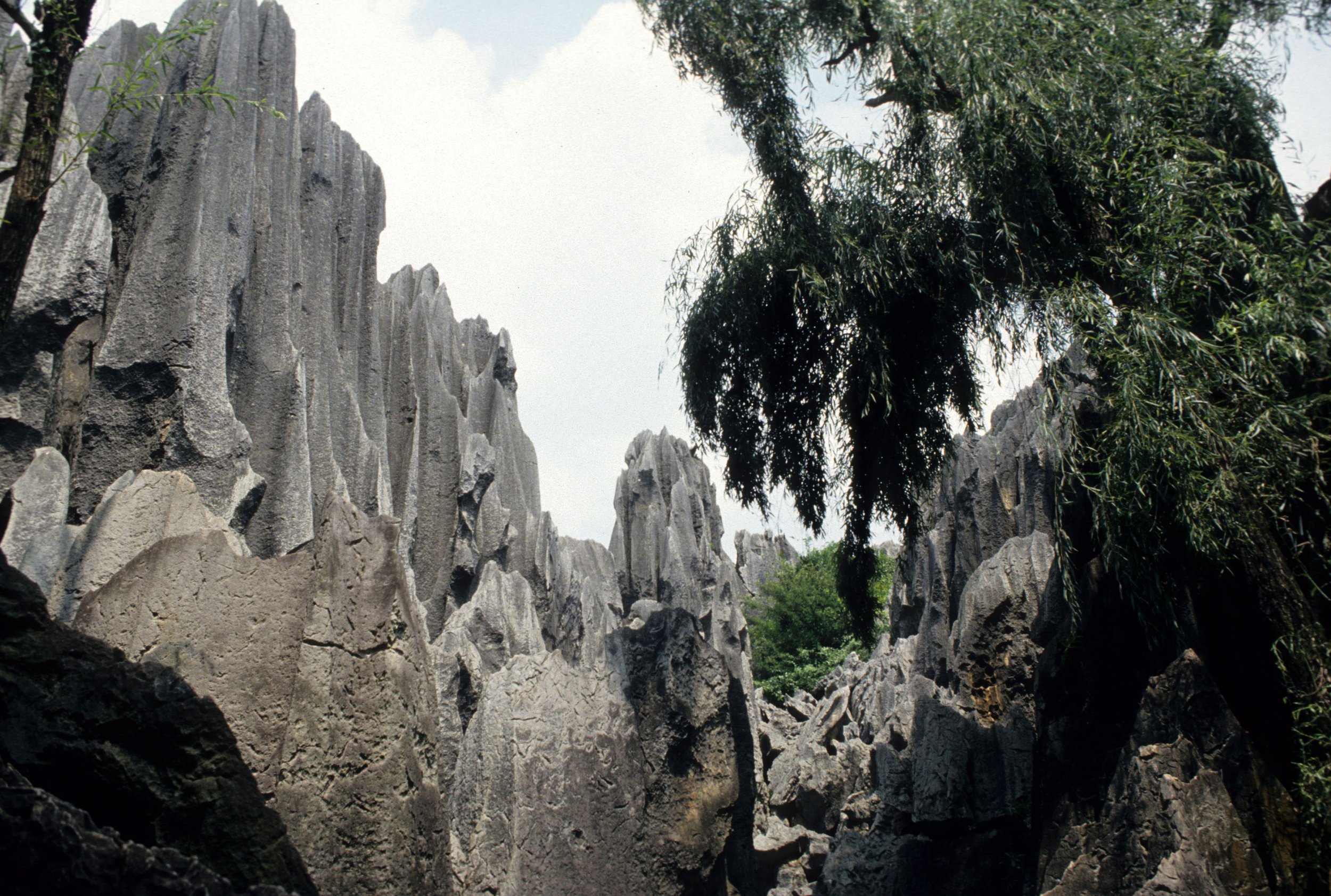 STONE FOREST - KUNMING CHINA (8).jpg