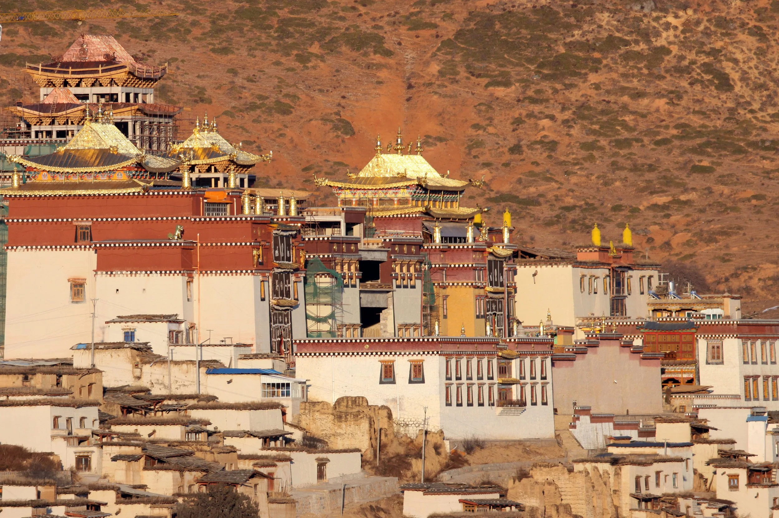 YUNNAN - SHANGRILA - SONGZHANLIN TEMPLE - CHINA (8).JPG