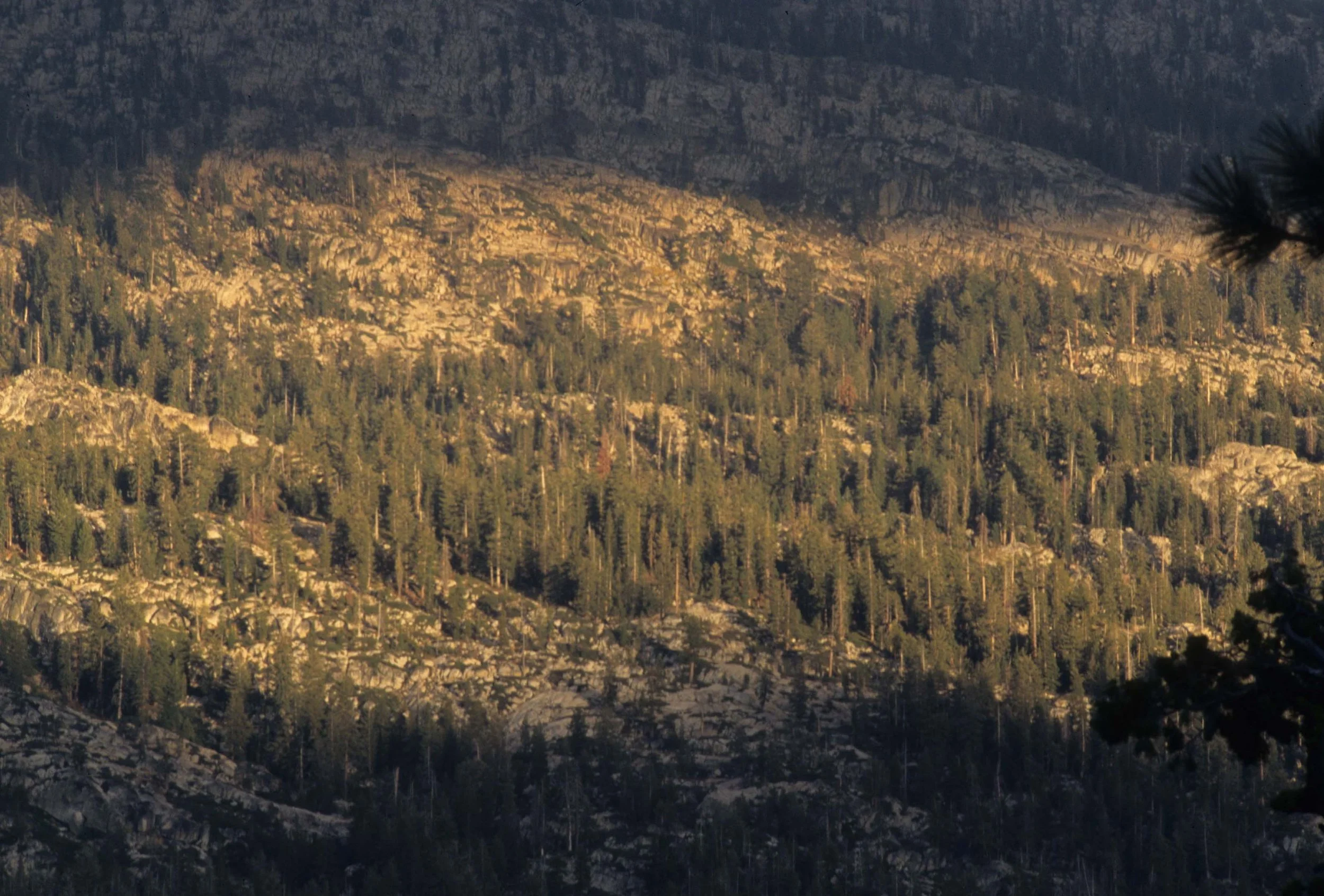 CALIFORNIA - SIERRA NEVADA MOUNTAINS (18).jpg