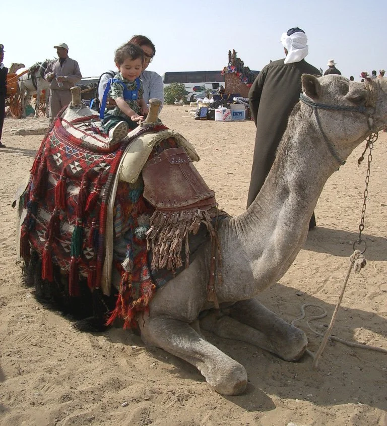 PYRAMIDS - CAMEL RIDES ON GIZA PLATEAU (19).JPG