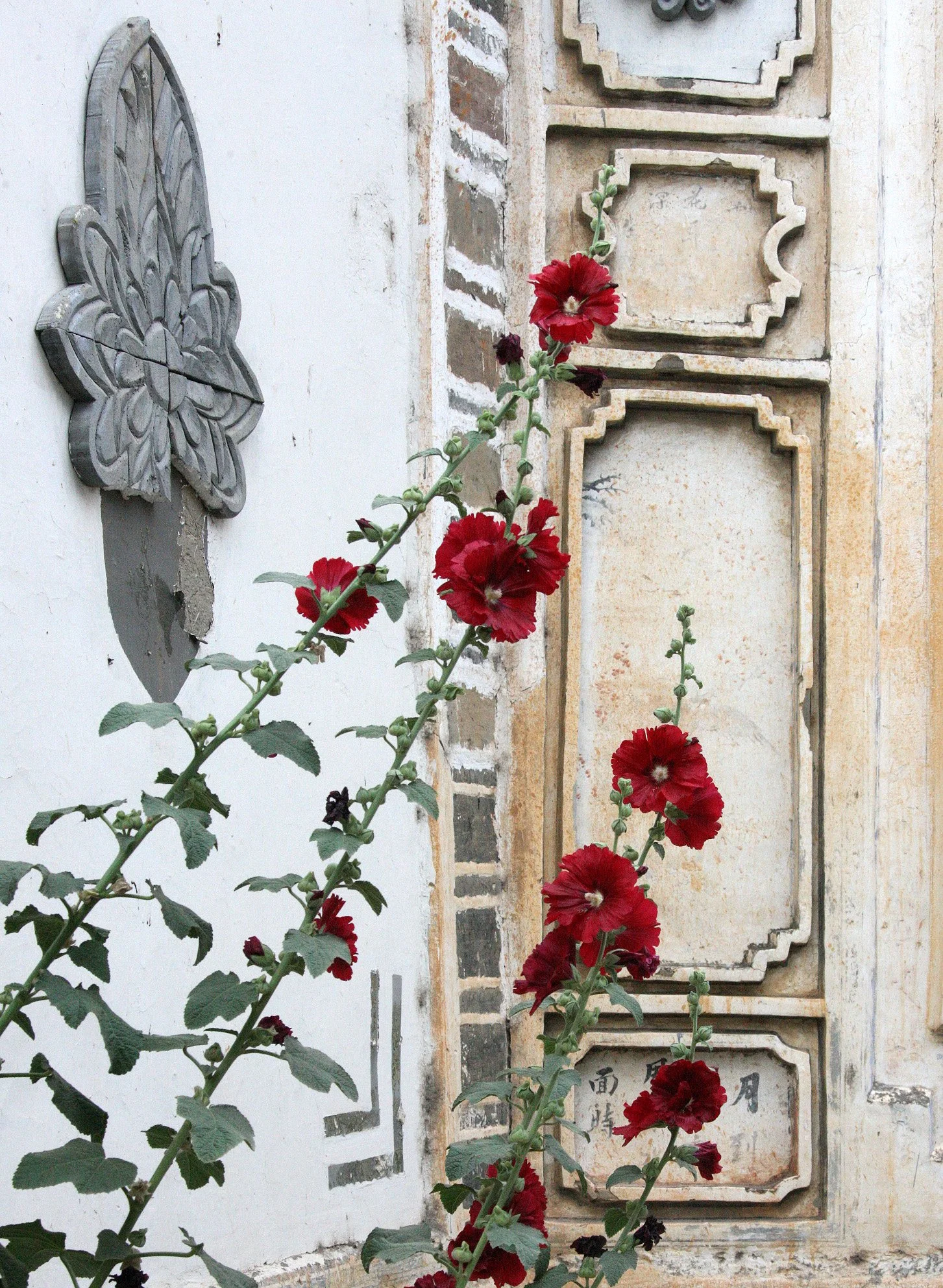 LINDEN CENTER - XIZHOU VILLAGE YUNNAN CHINA (11).JPG