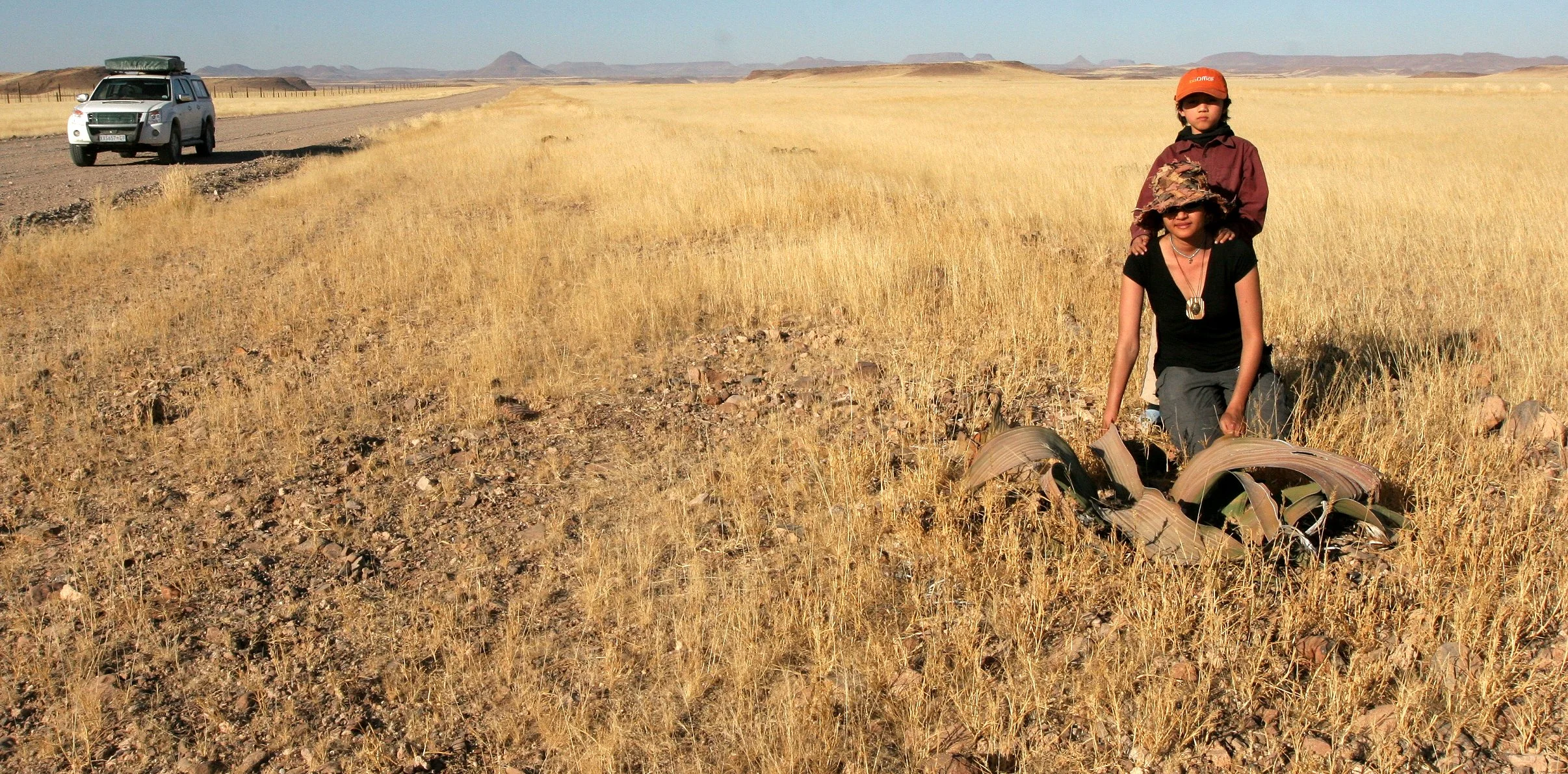 NAMIBIA - SKELETON COAST NATIONAL PARK (2).JPG