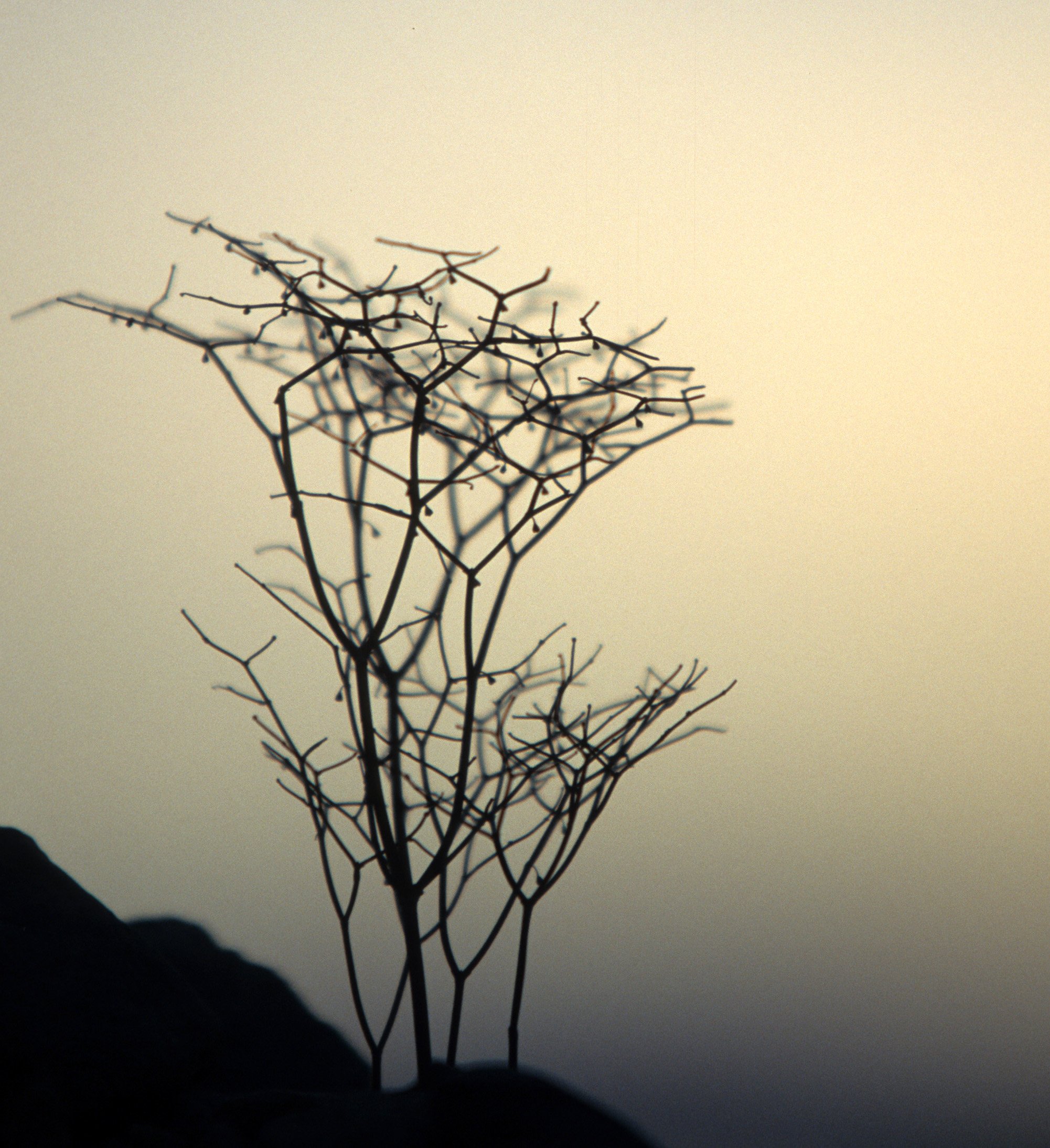 DEATH VALLEY NP (2).jpg