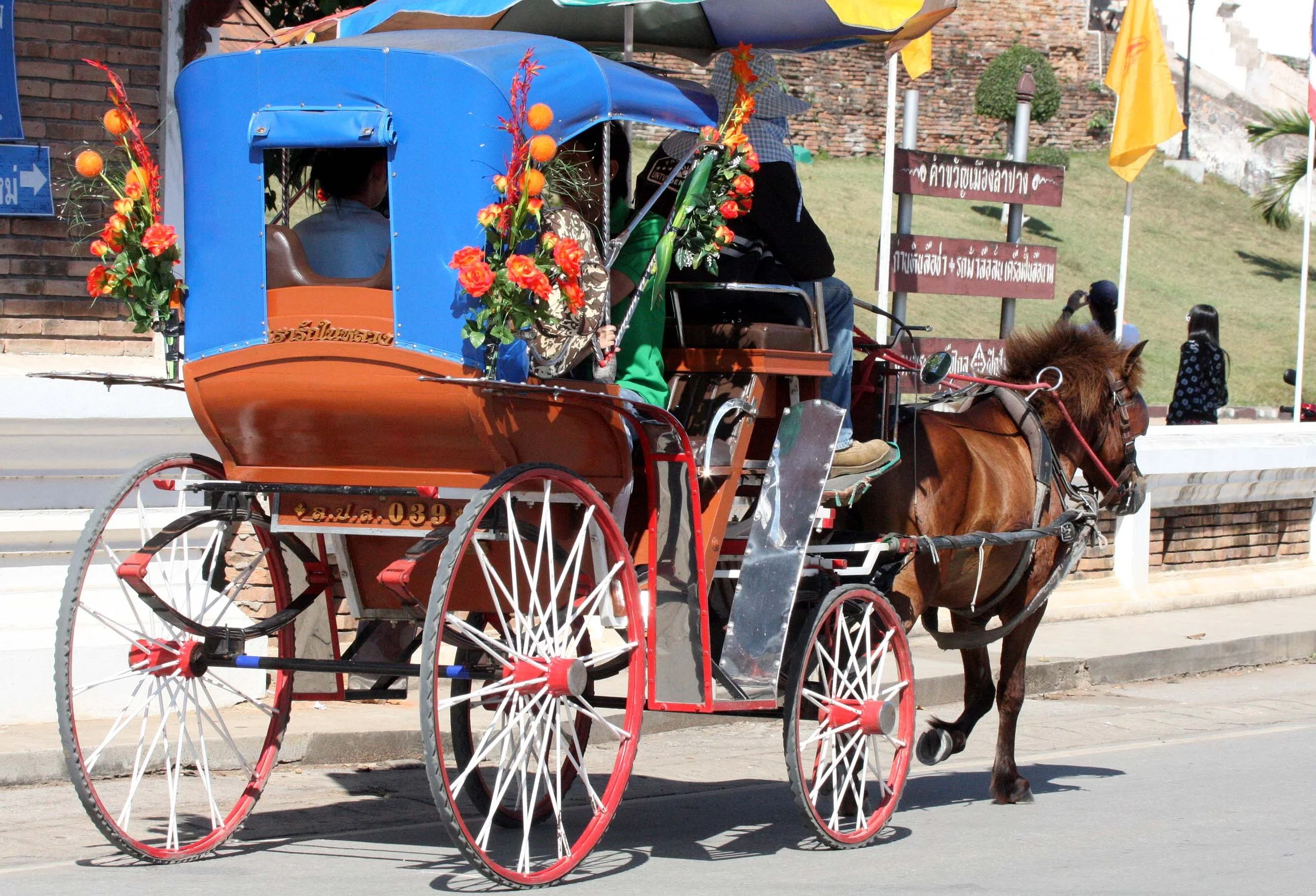 2008 Lampang City and Elephant Center.JPG