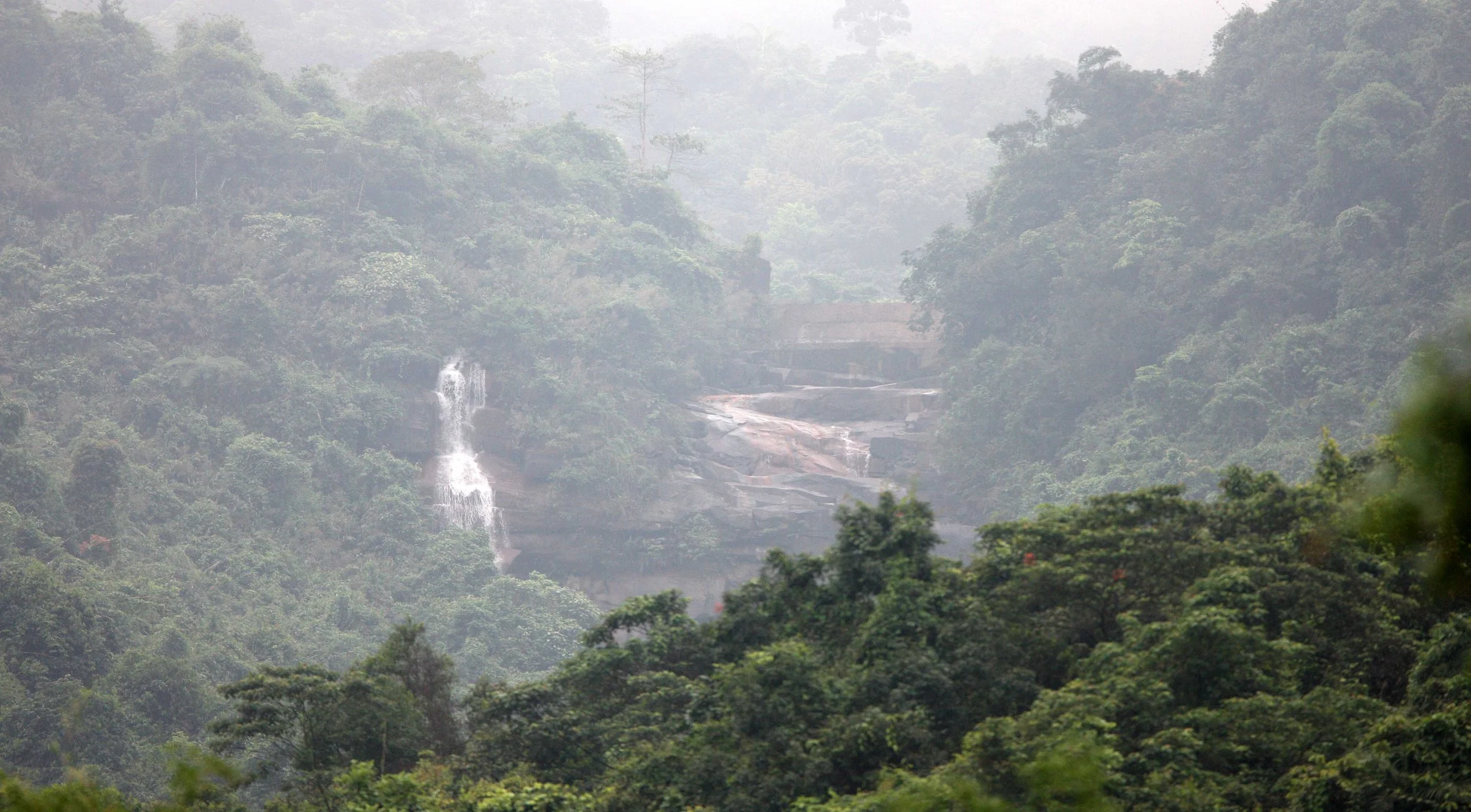 BACH MA NATIONAL PARK AND VICINIT VIET NAM (15).JPG
