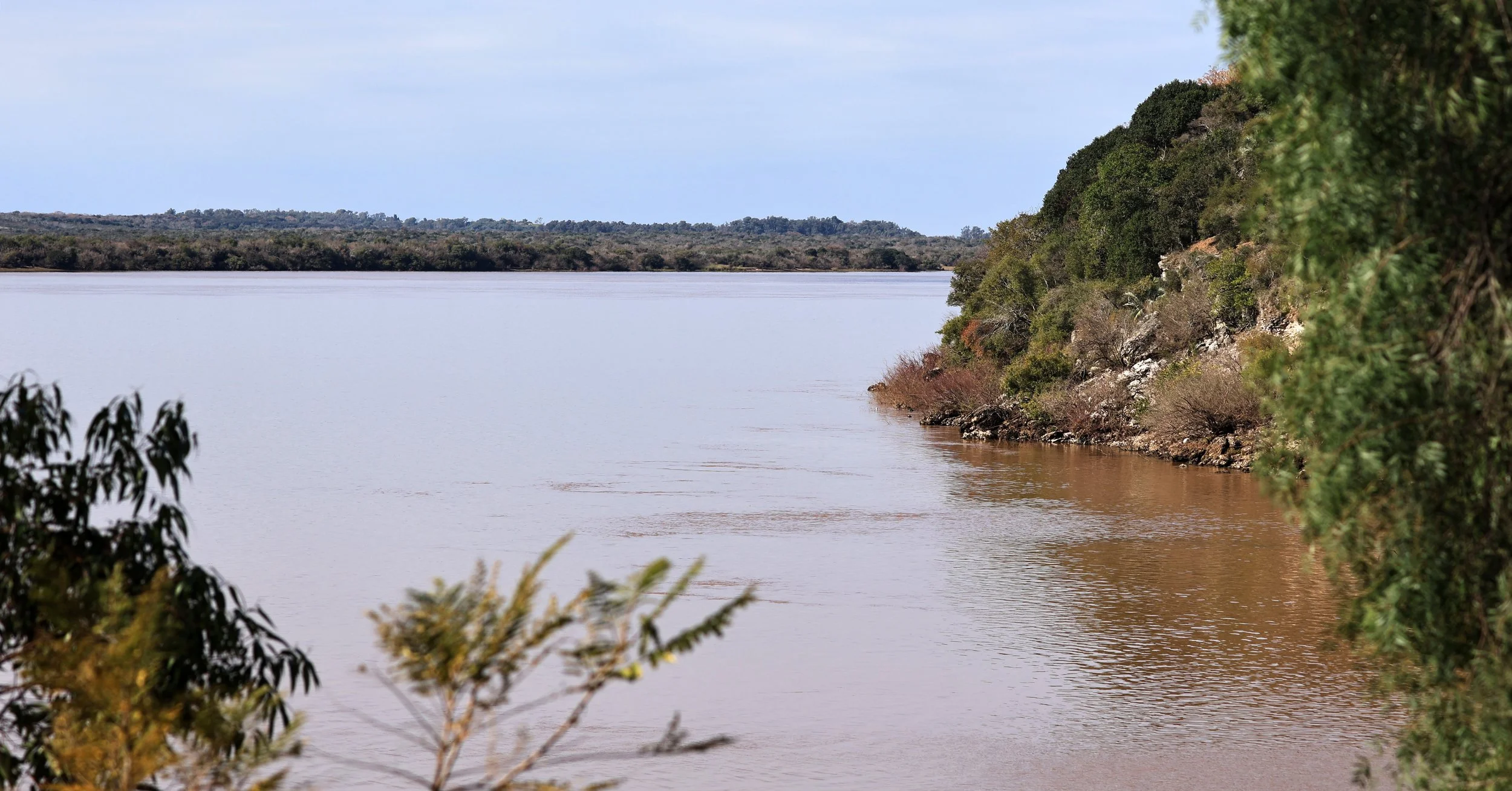 The Uruguay River provides the eastern border of the park.  Across the river in this image you see Uruguay and what appears to be a continuation of the forest system found in El Palmar.