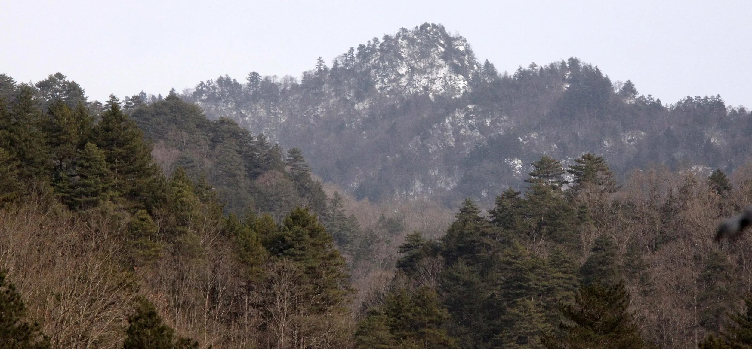 FOPING NATURE RESERVE - SHAANXI PROVINCE CHINA (170).JPG
