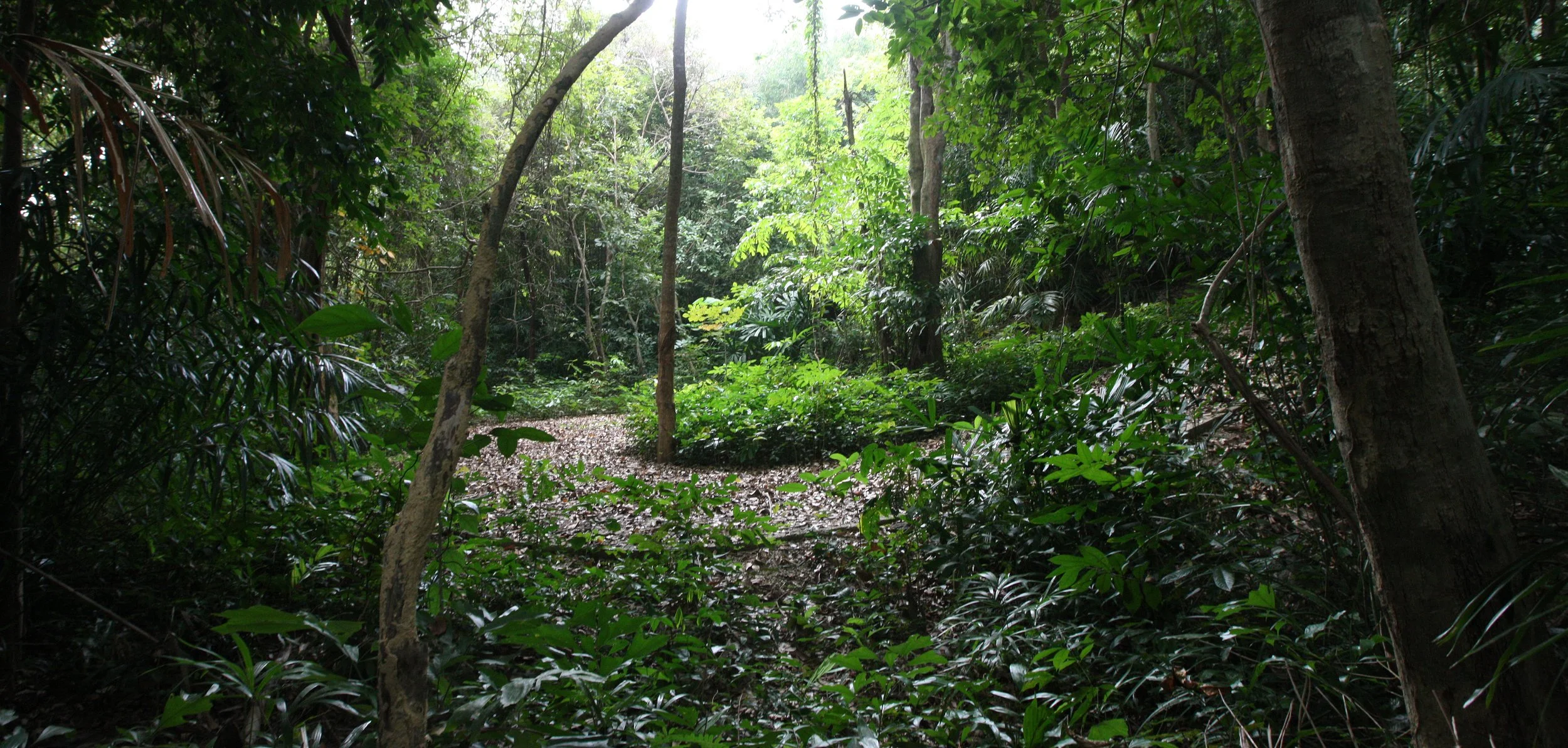 LANTA ISLAND - OUR PROPERTY - WINTER 2011 (11).JPG