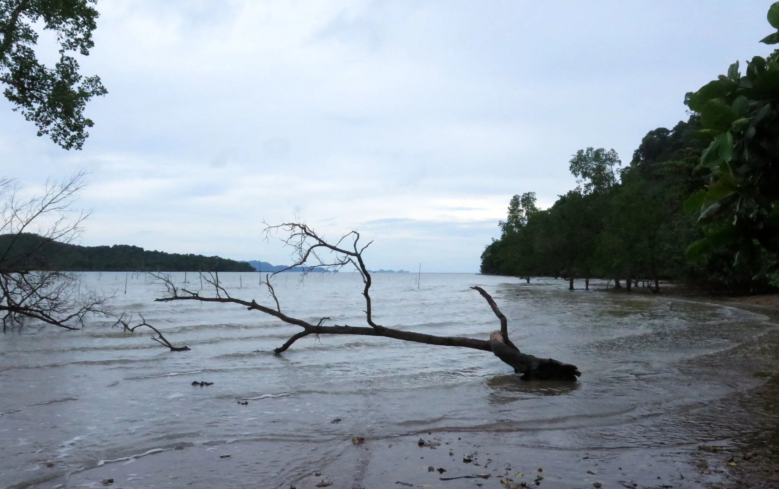 2015 Lanta Build (84).JPG