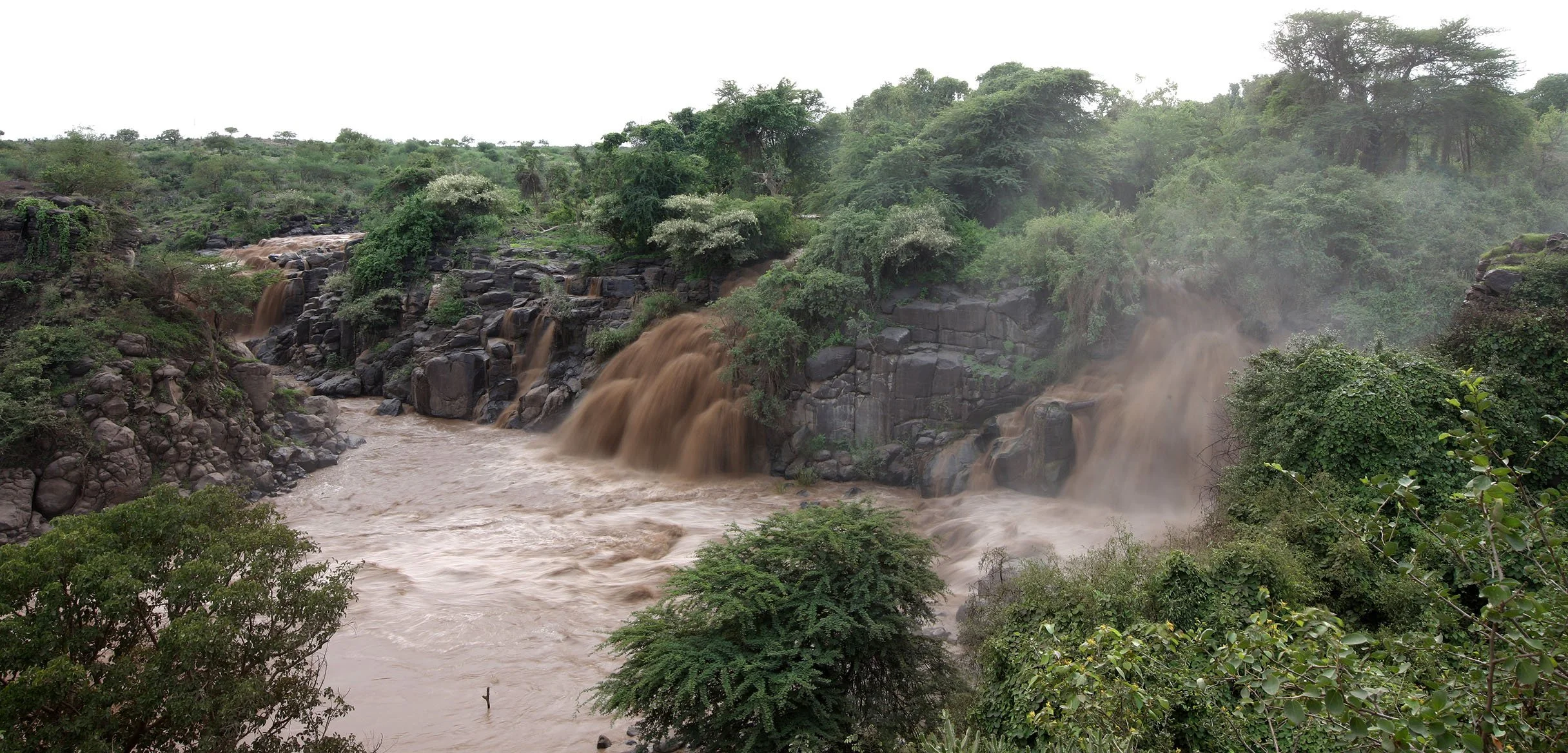 AWASH NATIONAL PARK ETHIOPIA - AWASH FALLS LODGE (8).JPG