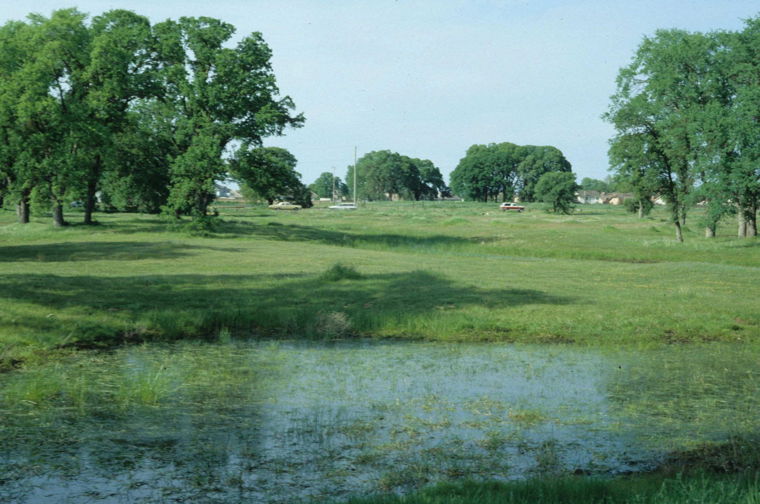 CALIFORNIA - PHOENIX FIELDS VERNAL POOLS - WETLANDS A.jpg