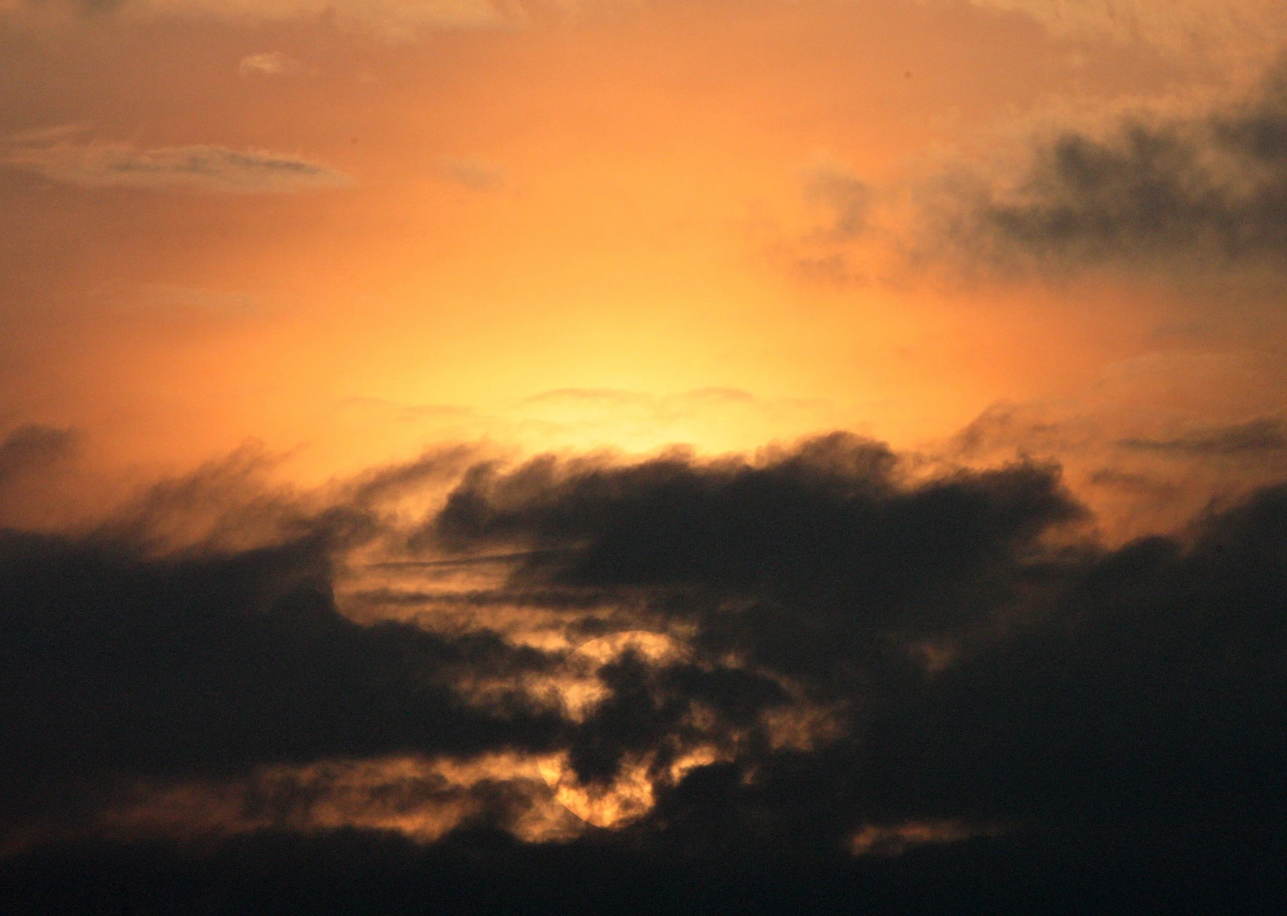 LANTA - SCENES FROM WINTER 2011 (11).JPG