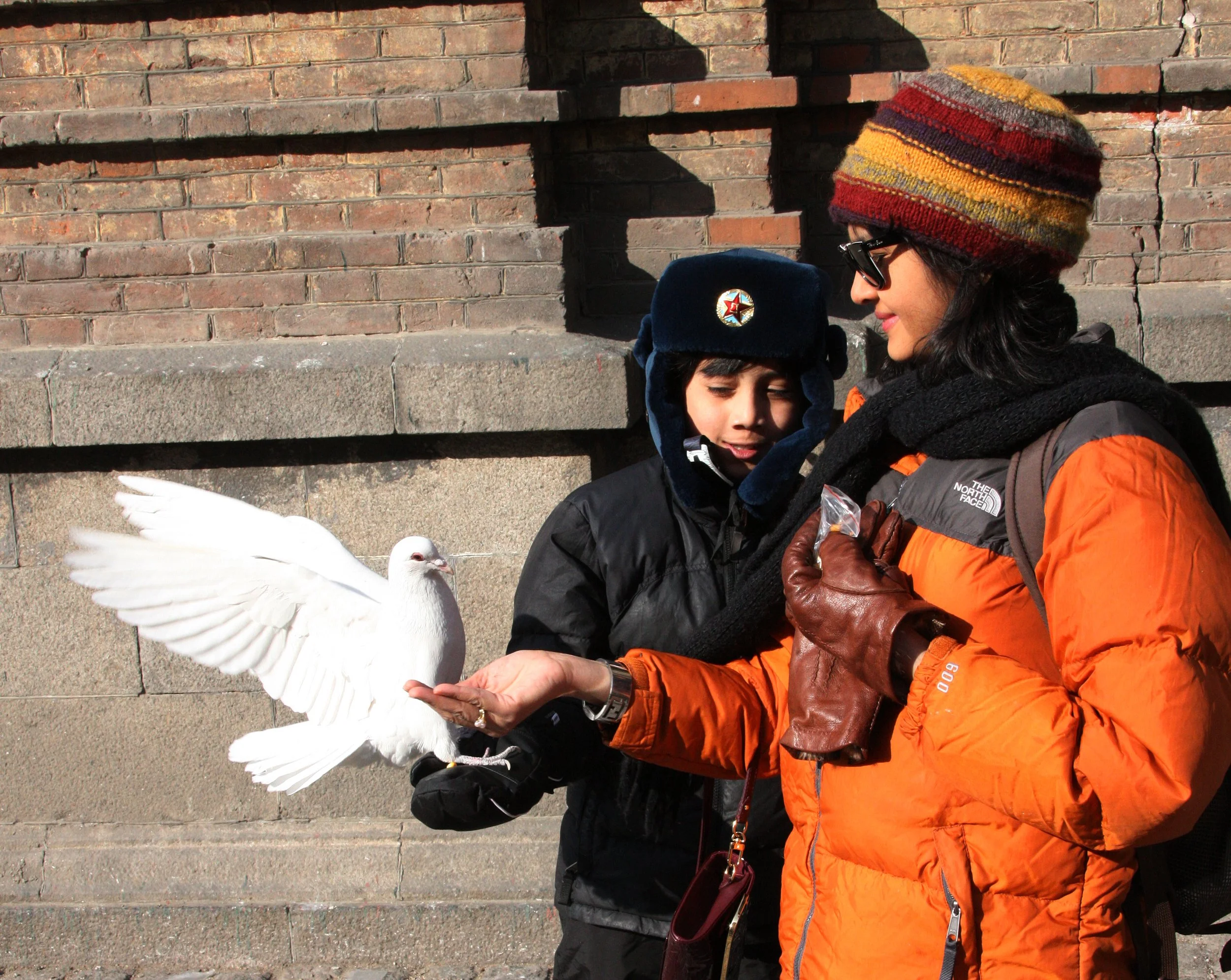 BIRD - PIGEON - HARBIN SAINT SOPHIA'S CATHEDRAL CHINA (27).JPG