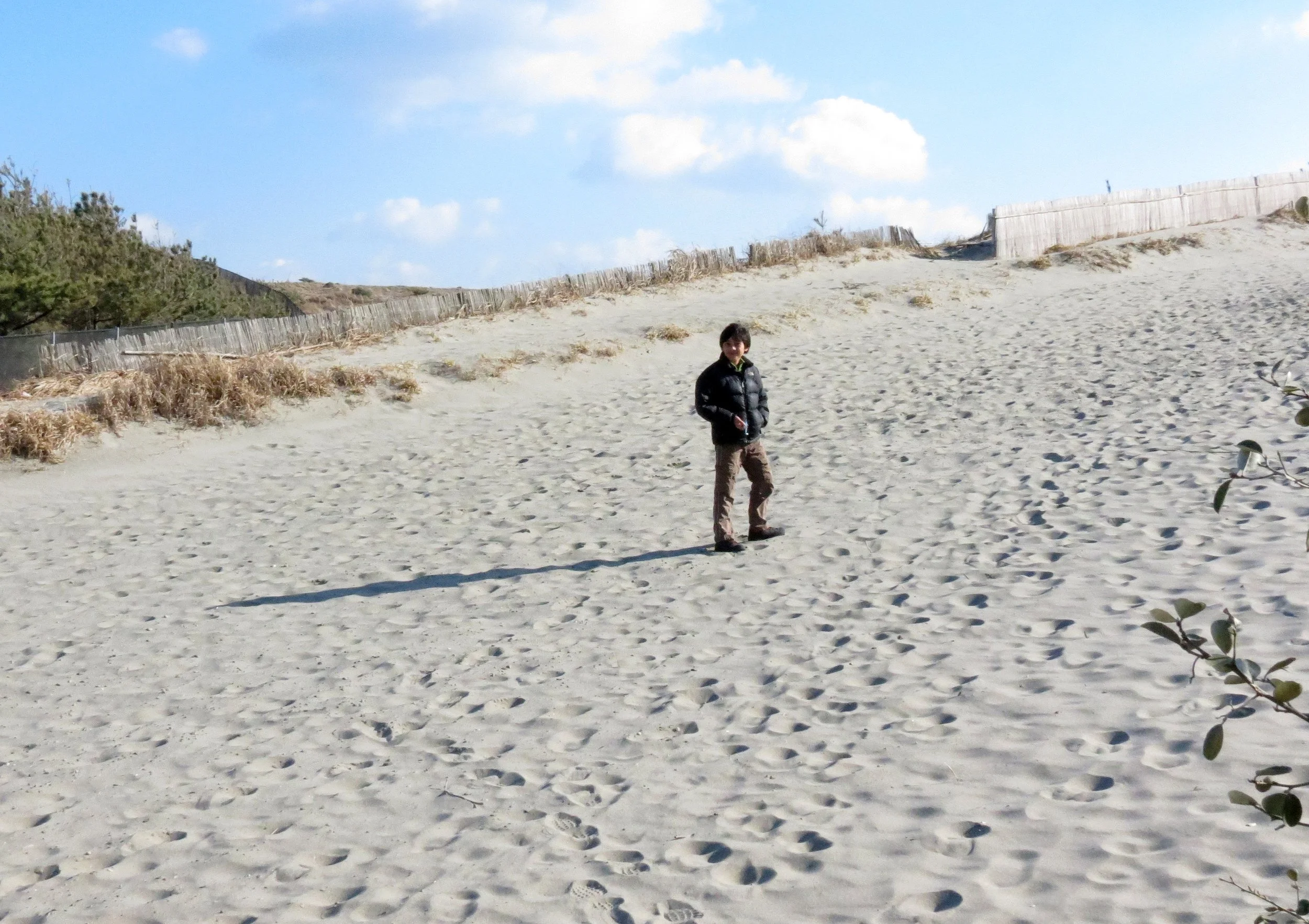 SHIZUOKA COASTLINE JAPAN (5).JPG