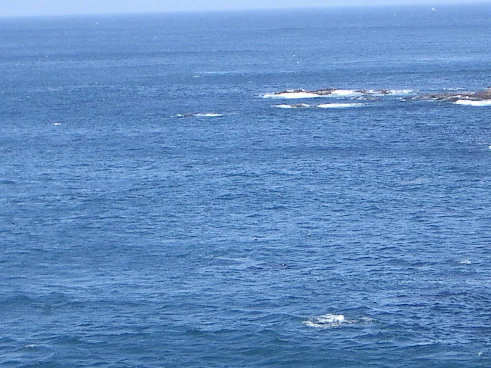 2003-7-31 FAMILY REUNION IN WASHINGTON AND CANADA (157).JPG