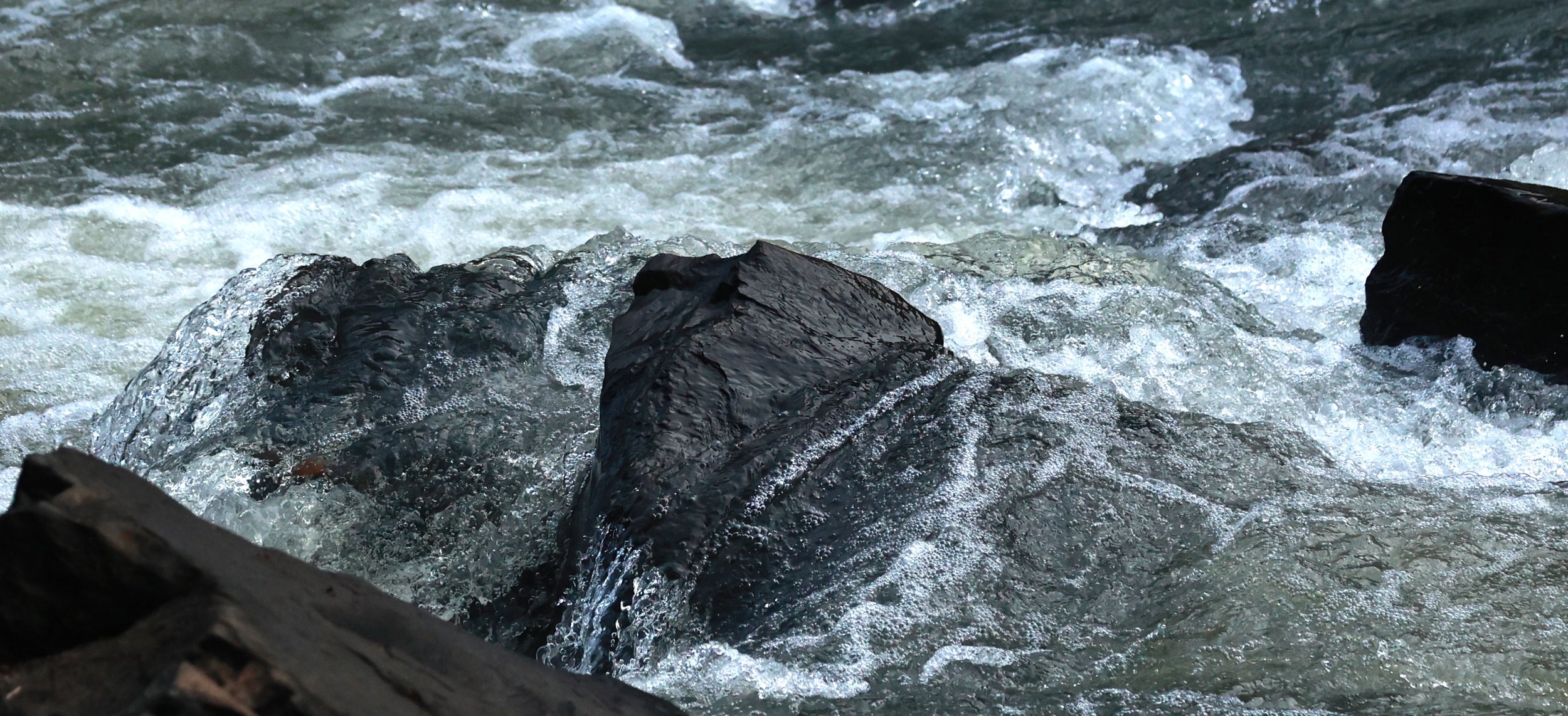 Feliciano Miguel Abdala Reserve (Caratinga Biological Reserve)  (3).JPG