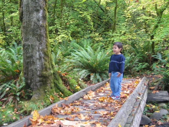 2005-10-22 TREK IN TO OLYMPIC RAINFOREST IN FALL (4).JPG
