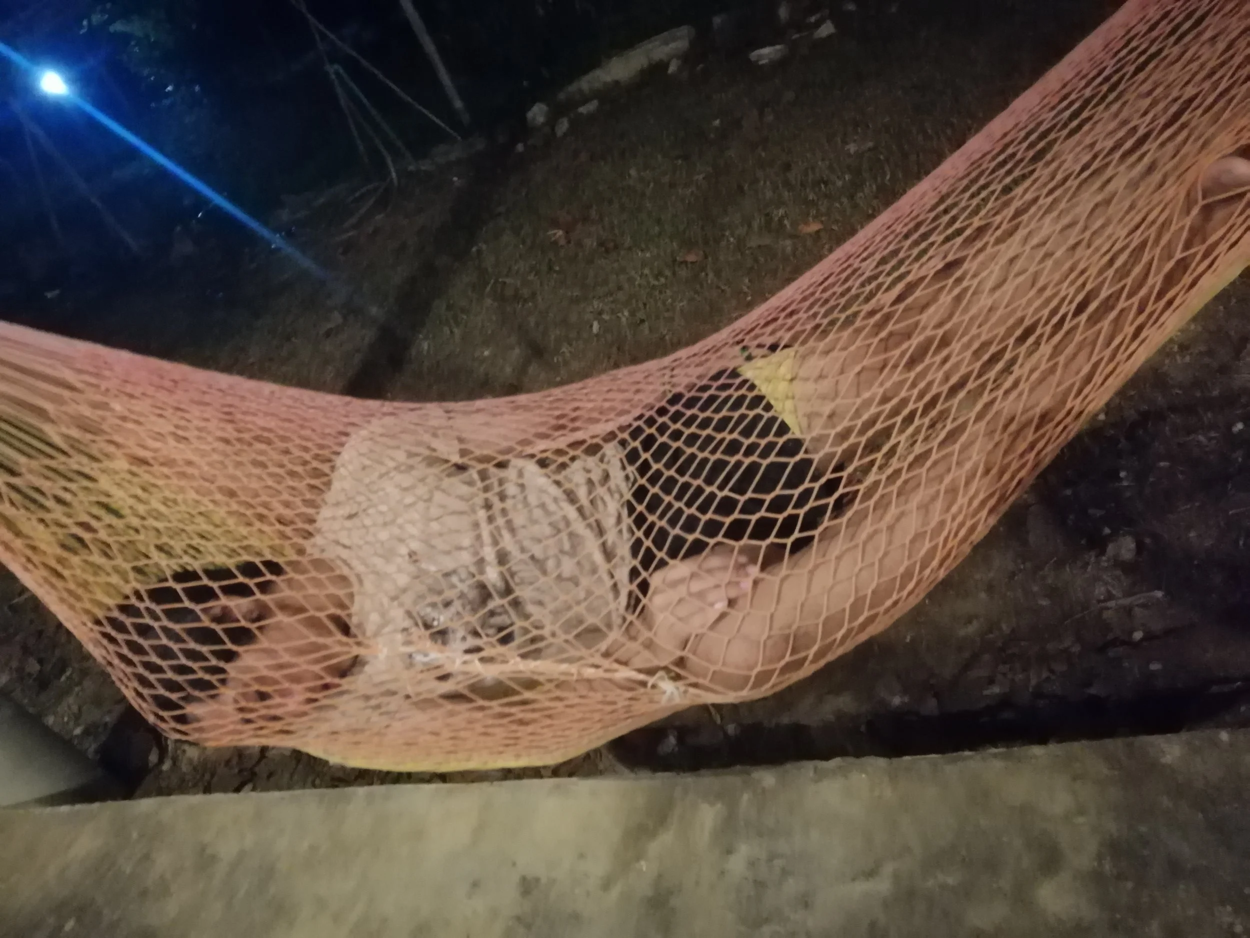 2019 Koh Lanta Summer Trip (92).jpg