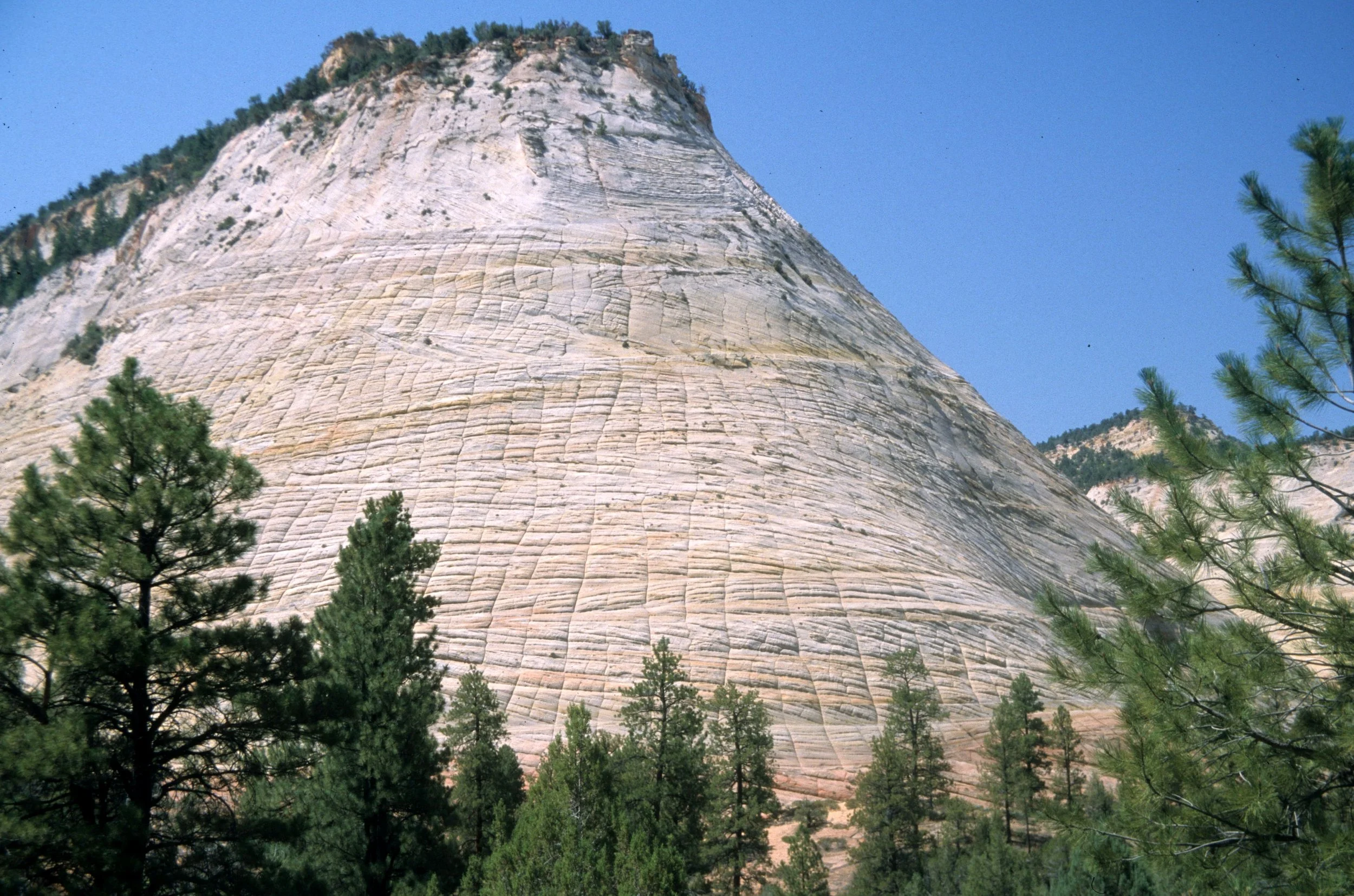 UTAH - ZION - CHECKERBOARD MESA.jpg