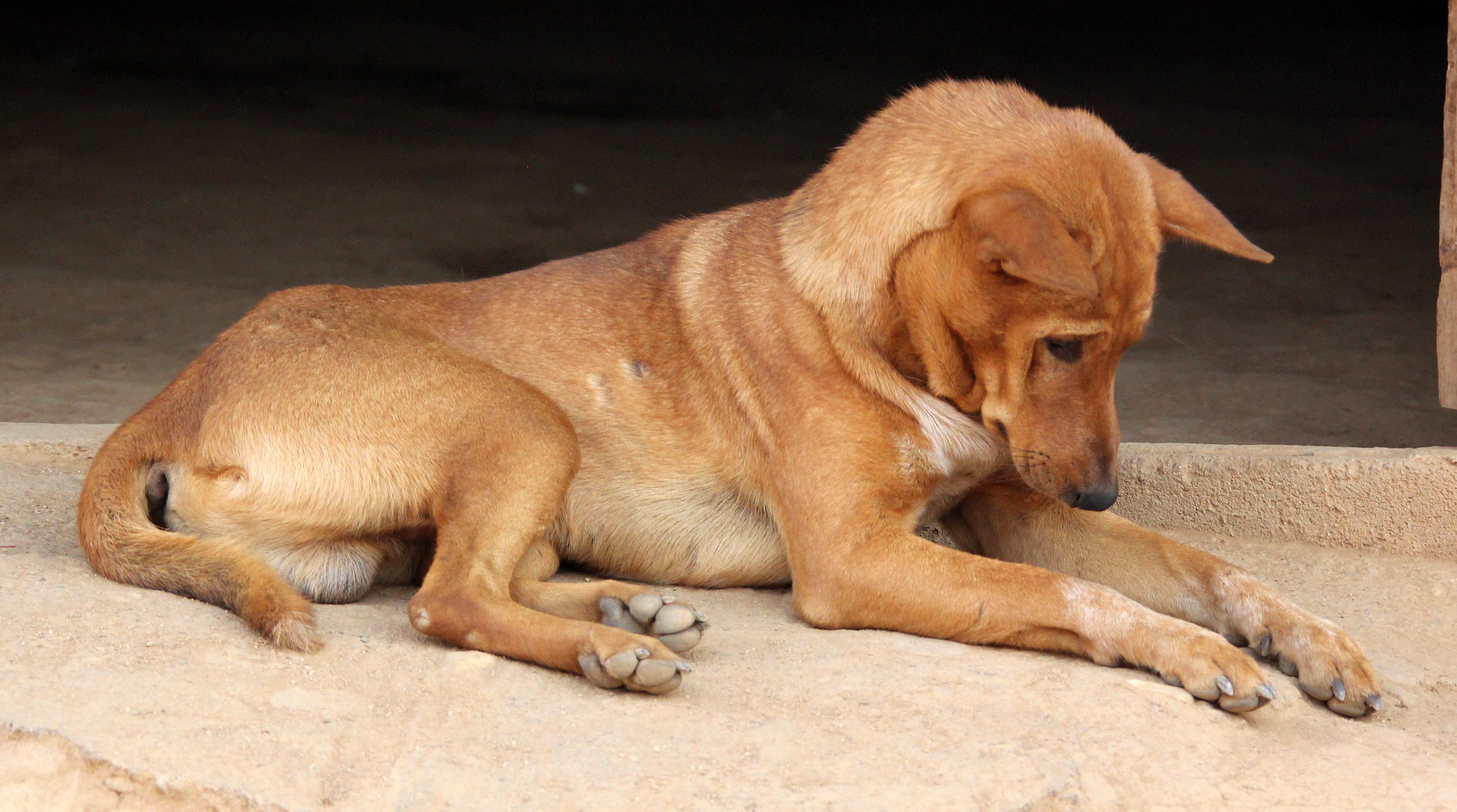 MAE KOK RIVER CHIANG RAI THAILAND - LAHU VILLAGE SCENES (27).JPG