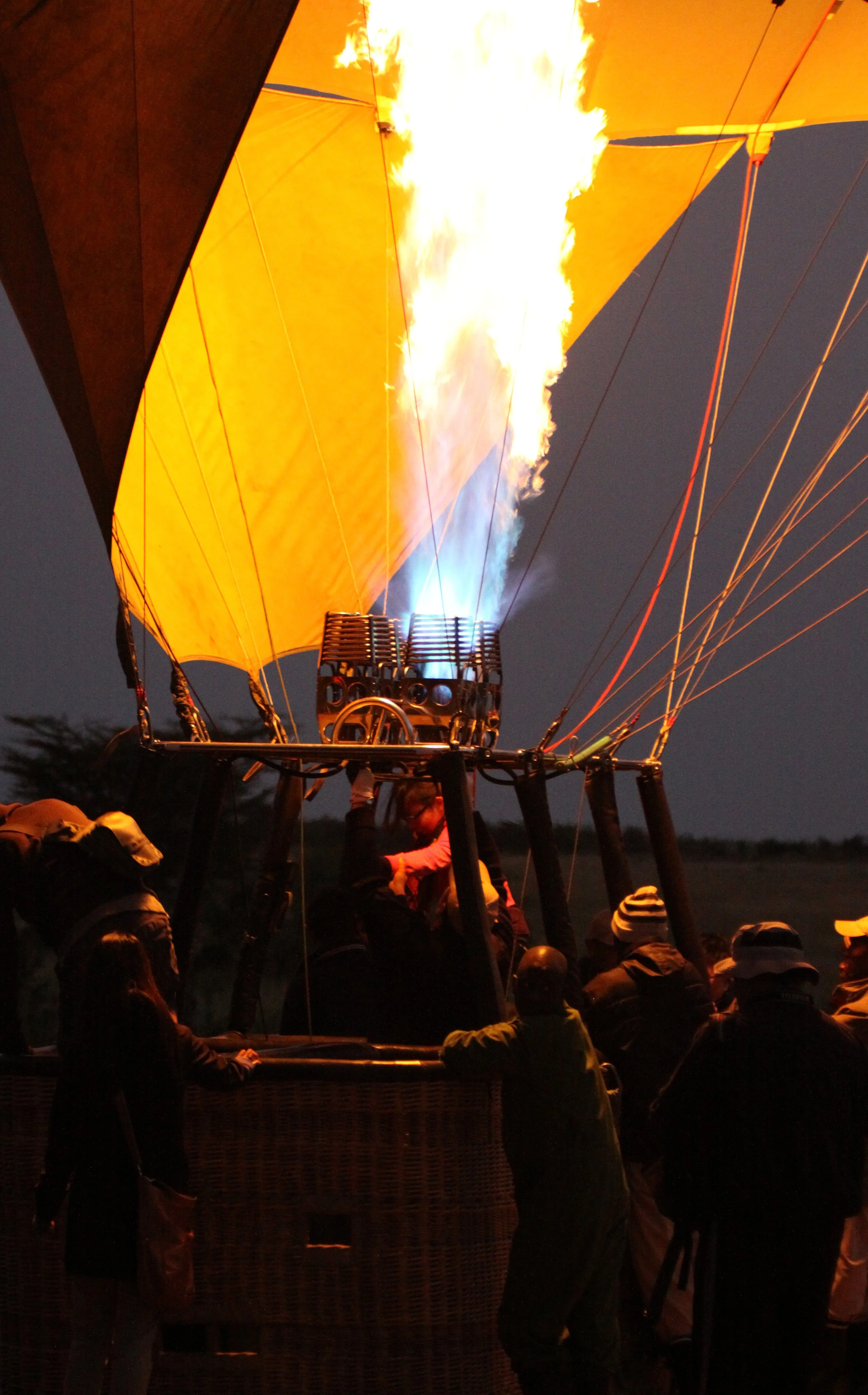 MASAI MARA NATIONAL PARK KENYA (224).JPG
