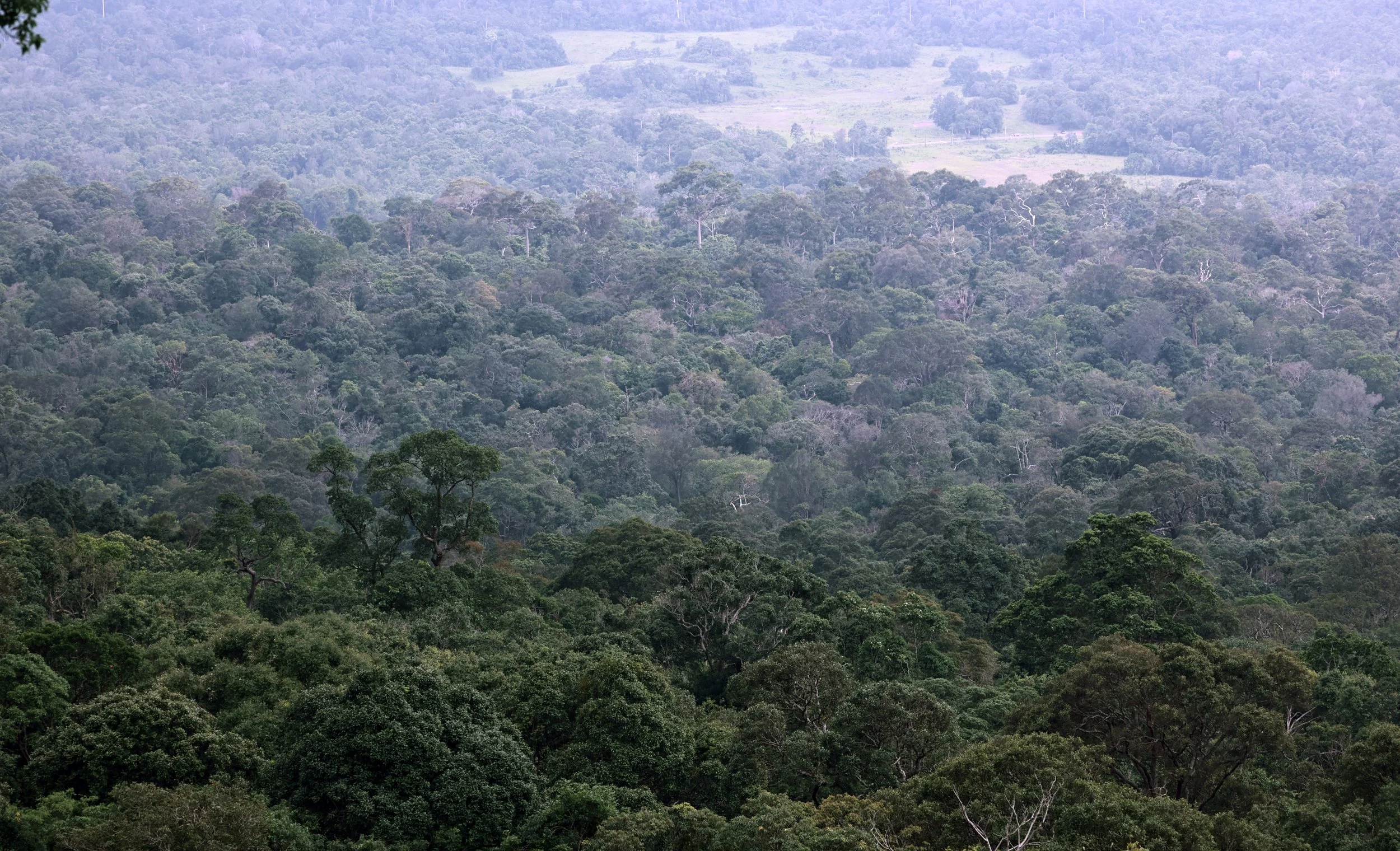 Khao Yai NP Thailand July 2024 (236).jpg