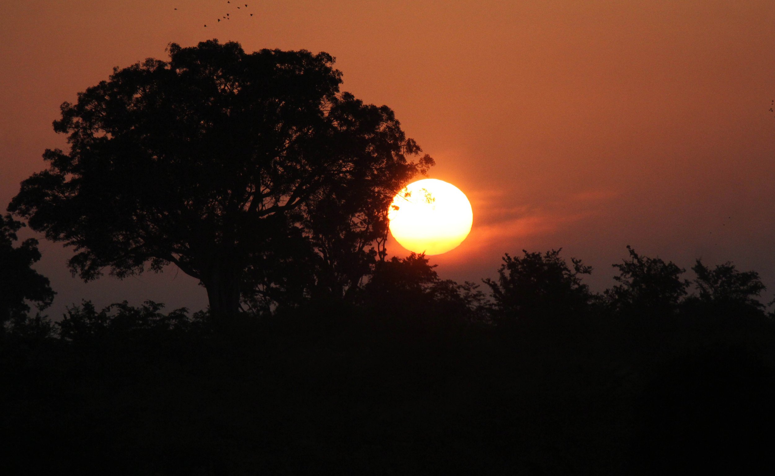 UDAWALAWA NATIONAL PARK SRI LANKA (7).JPG