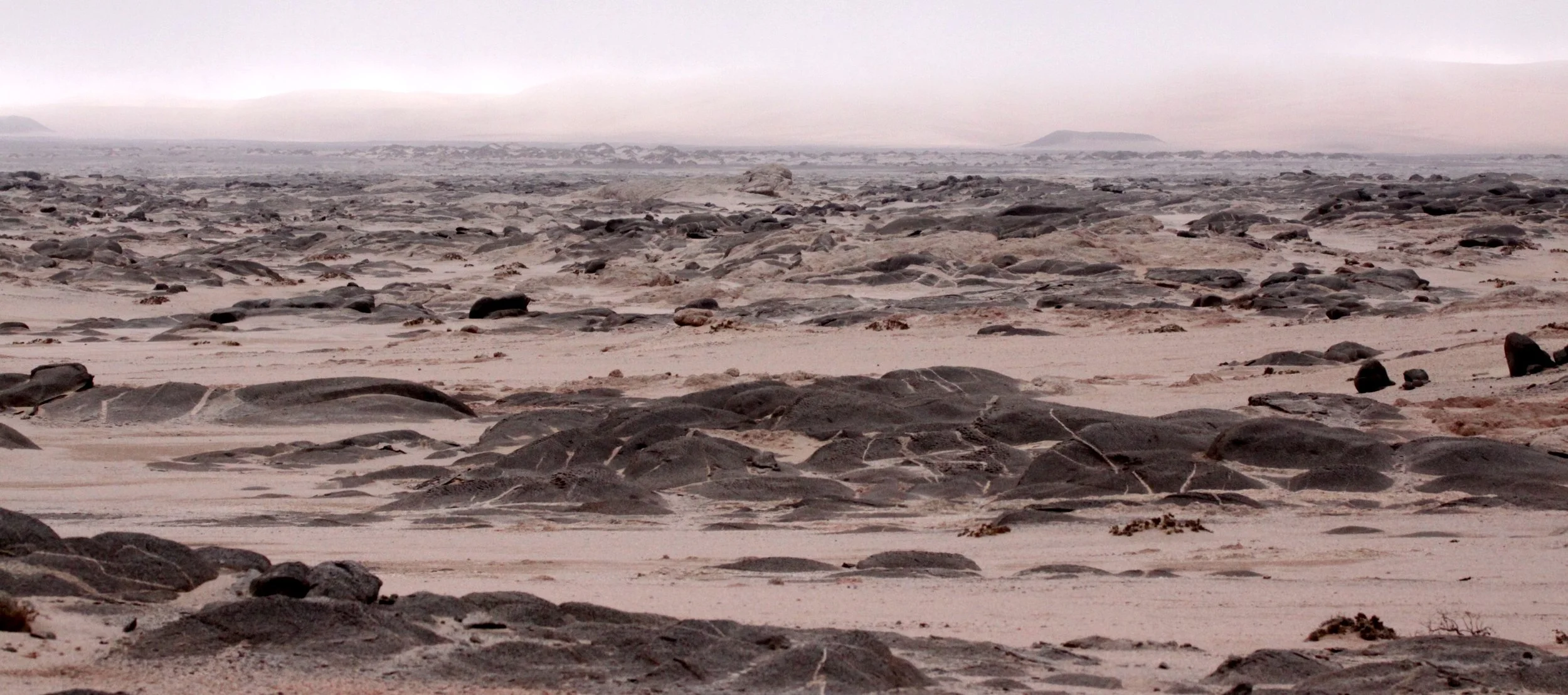 NAMIBIA - SKELETON COAST NATIONAL PARK - SCENERY (19).JPG