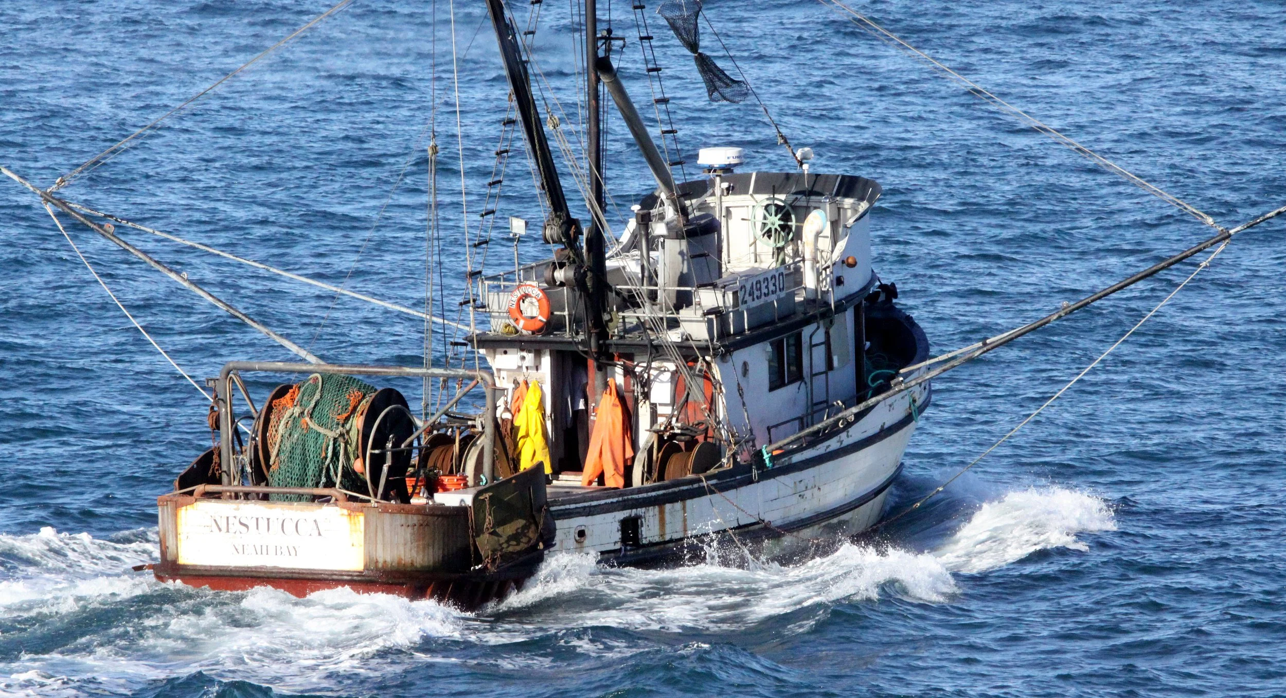 CAPE FLATTERY OLYMPIC PENINSULA - 2010-2-20 (9).JPG