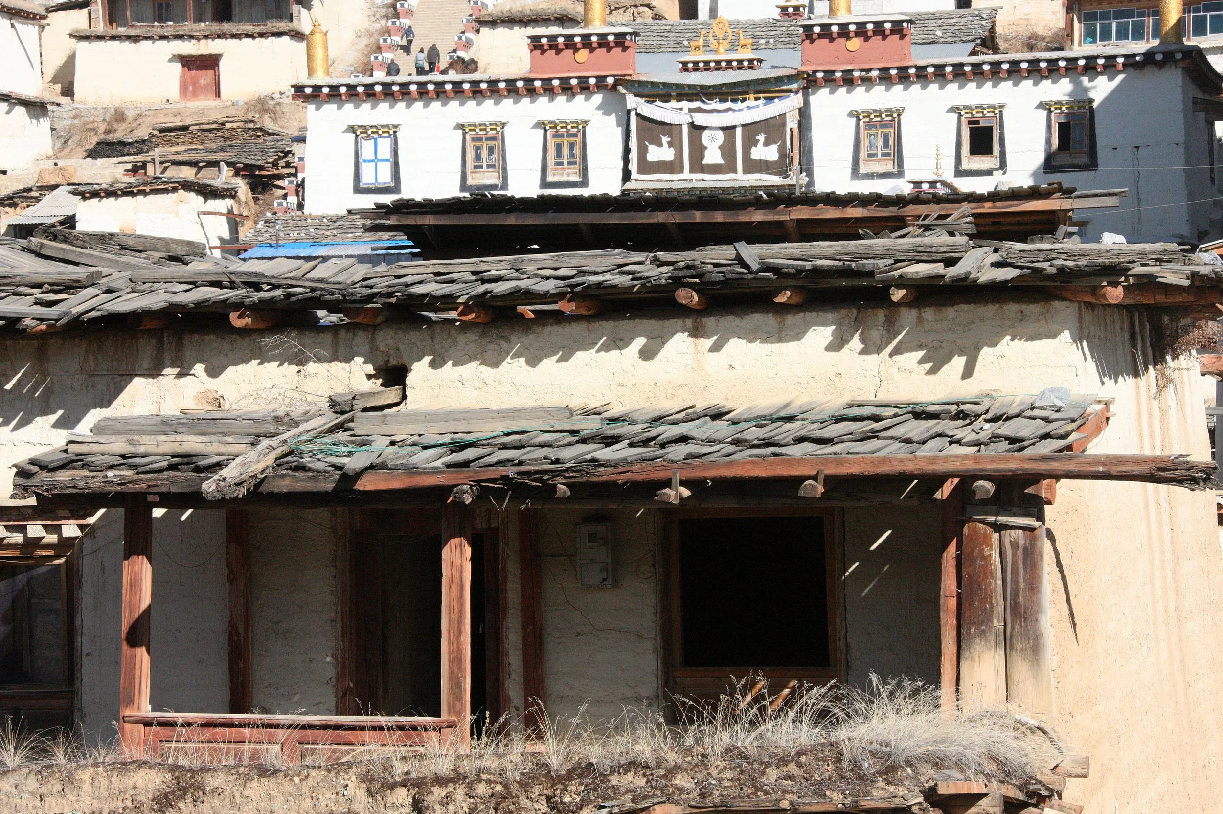 YUNNAN - SHANGRI LA - SONGZANLIN TEMPLE (64).JPG