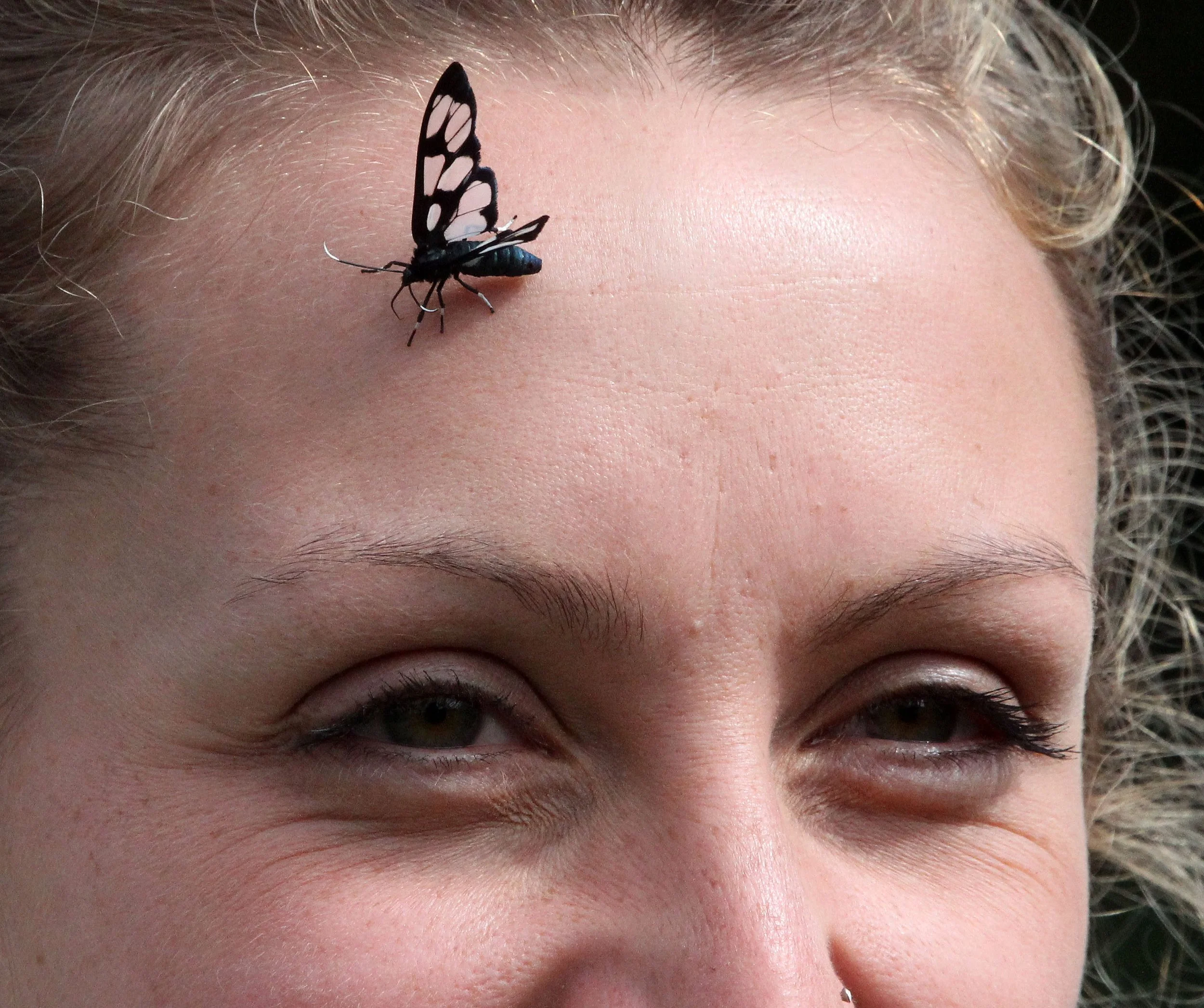 PARK DU VULCANS RWANDA (69).JPG