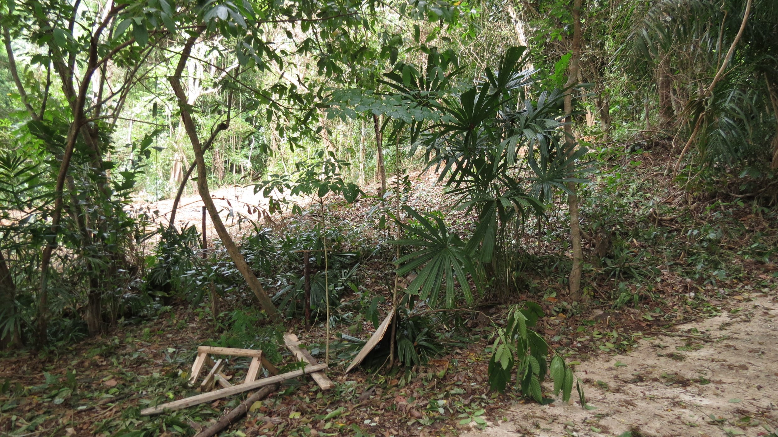 2014 Koh Lanta Build (14).JPG